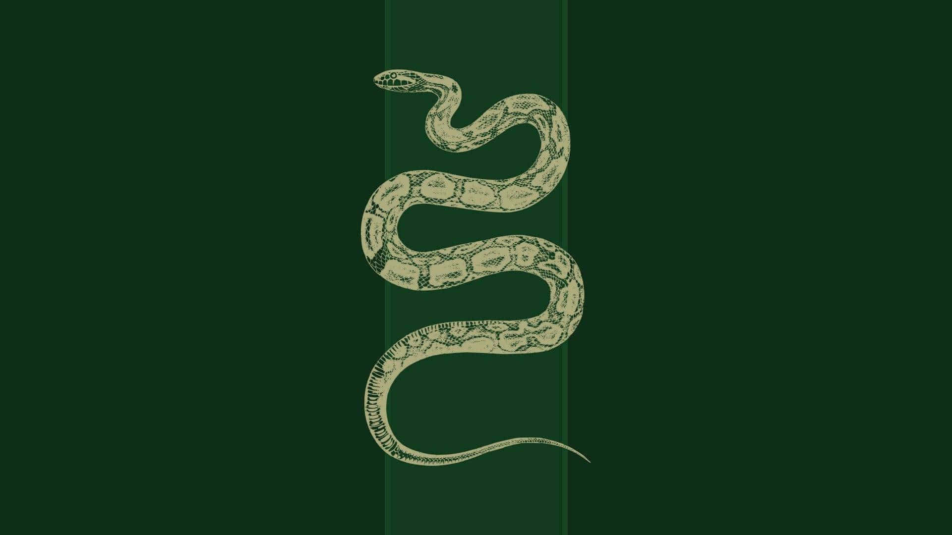 Estetica unui Dormitor Slytherin Fundal