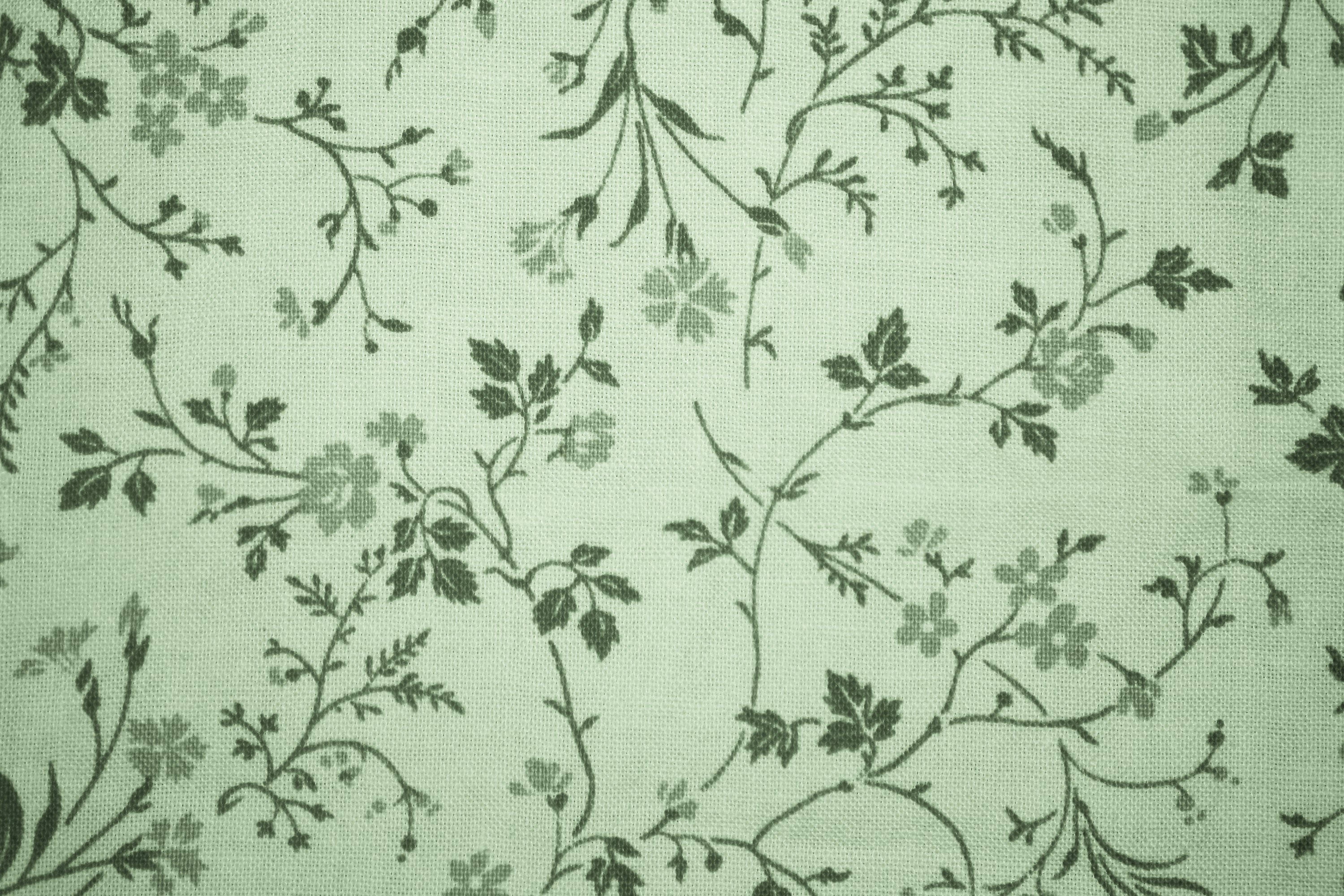 Estetică Vintage Verde Salvie Fundal