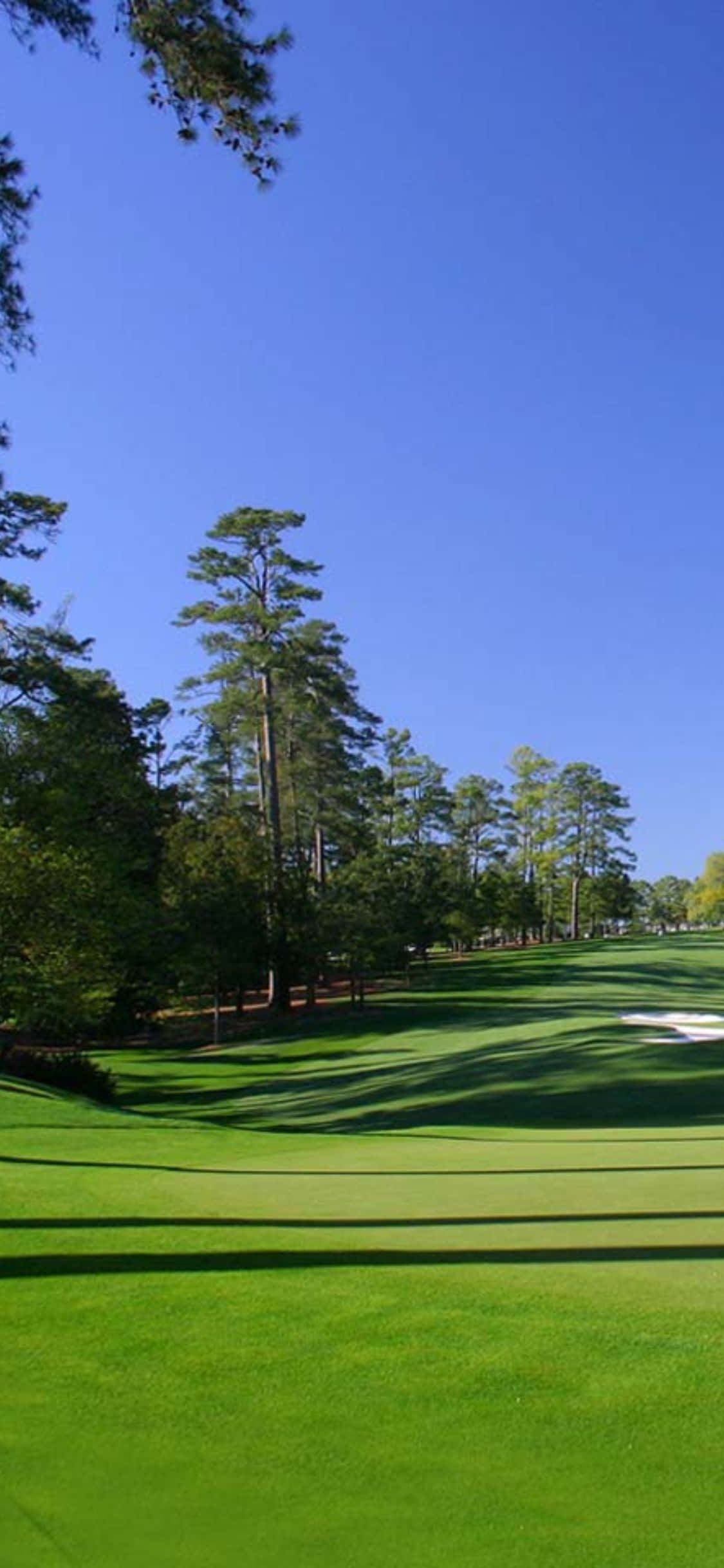 Experimentează splendoarea unui teren de golf cu iPhone X Fundal