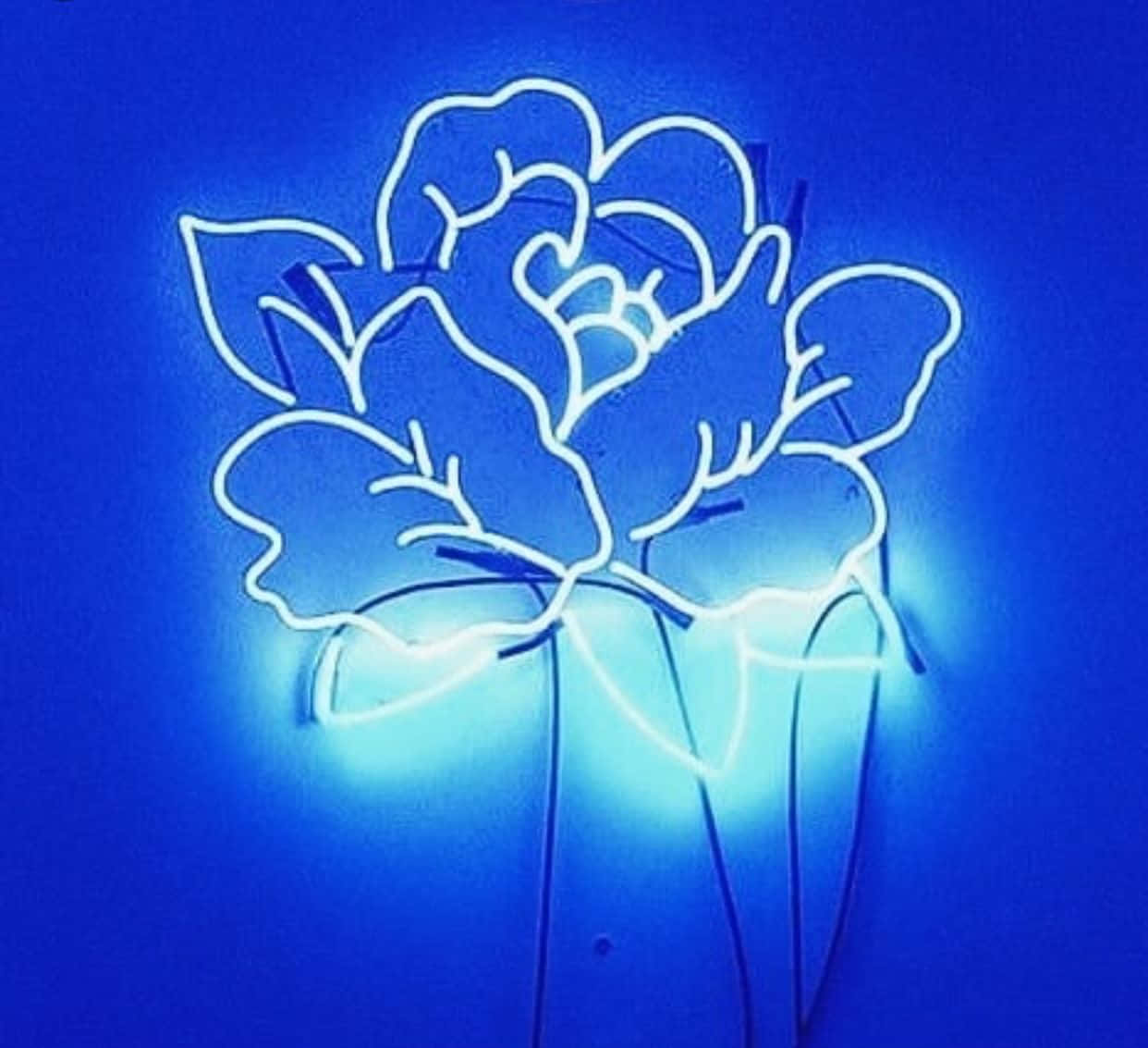 Explorând frumusețea suprarealistă a esteticii neon albastru Fundal