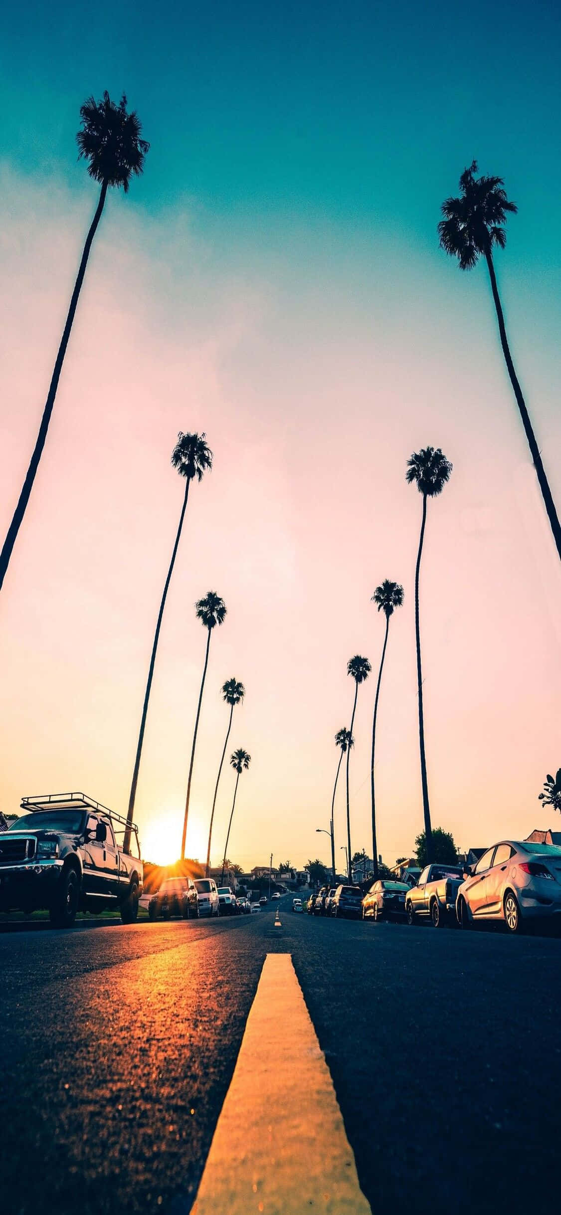 Explorați California în stil cu noul iPhone X! Fundal