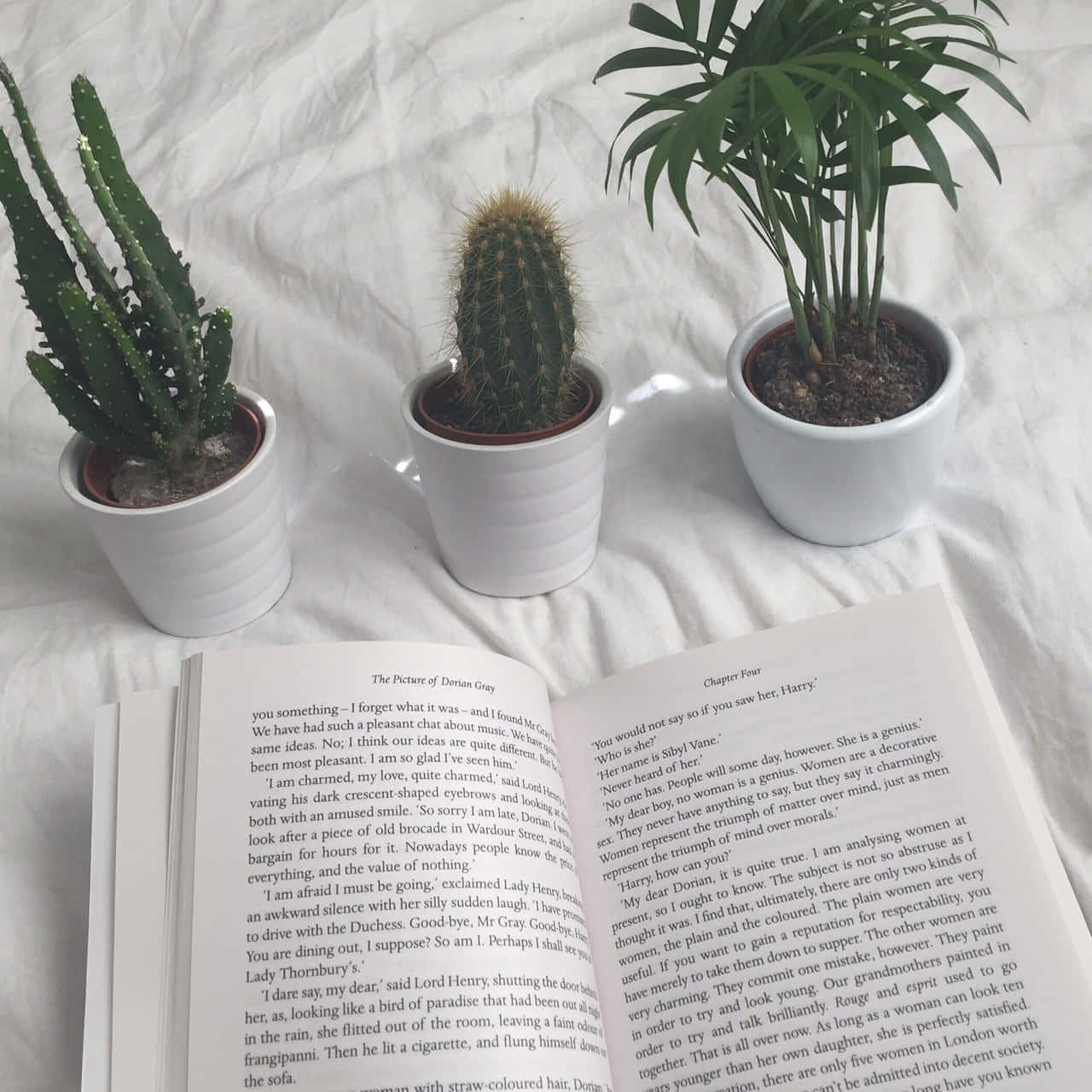 Explorează lumea cărților! 📖 Fundal