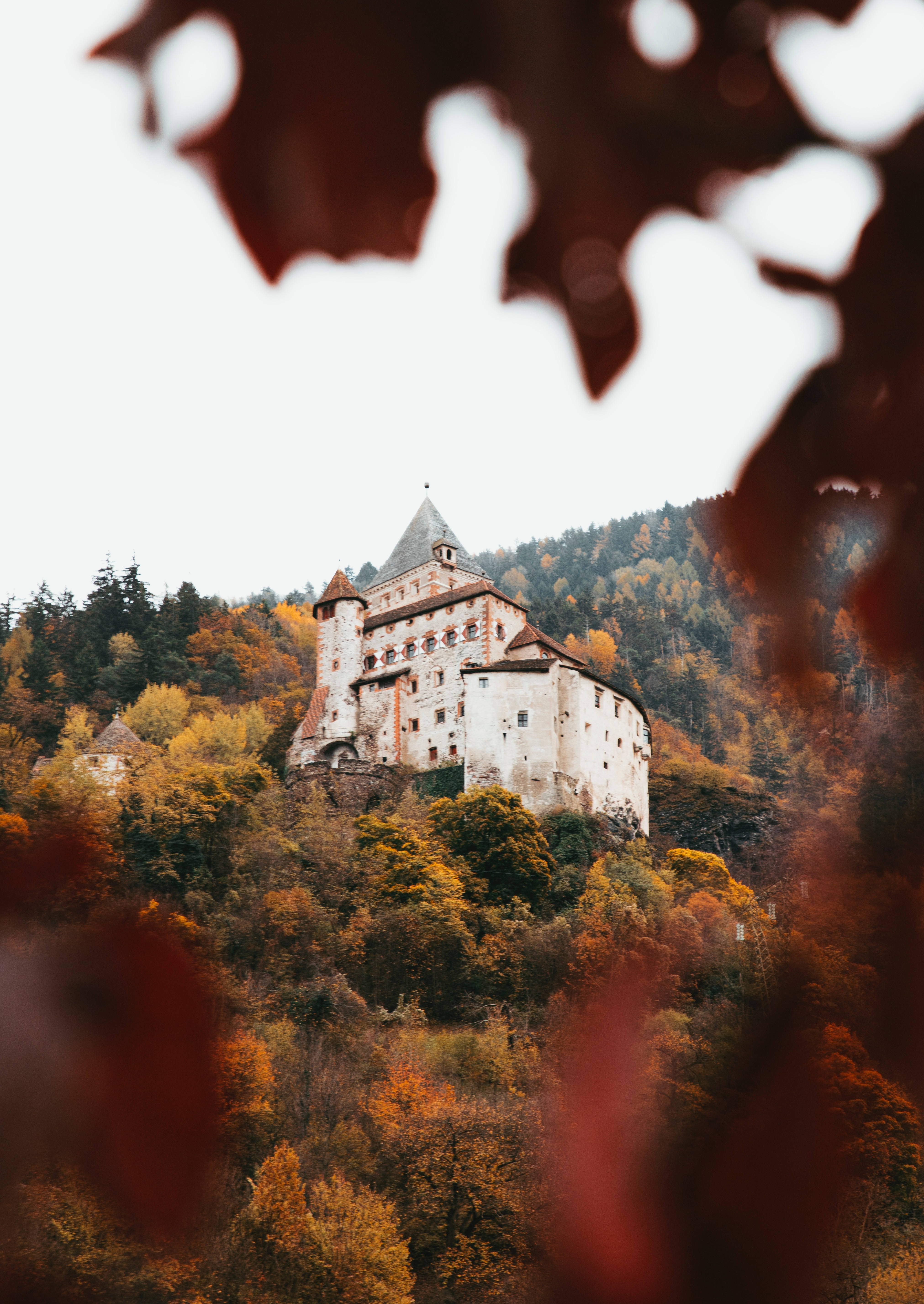 Explorează seni­nitatea colinelor unduioase și pădurilor luxuriante ale acestui castel medieval. Fundal
