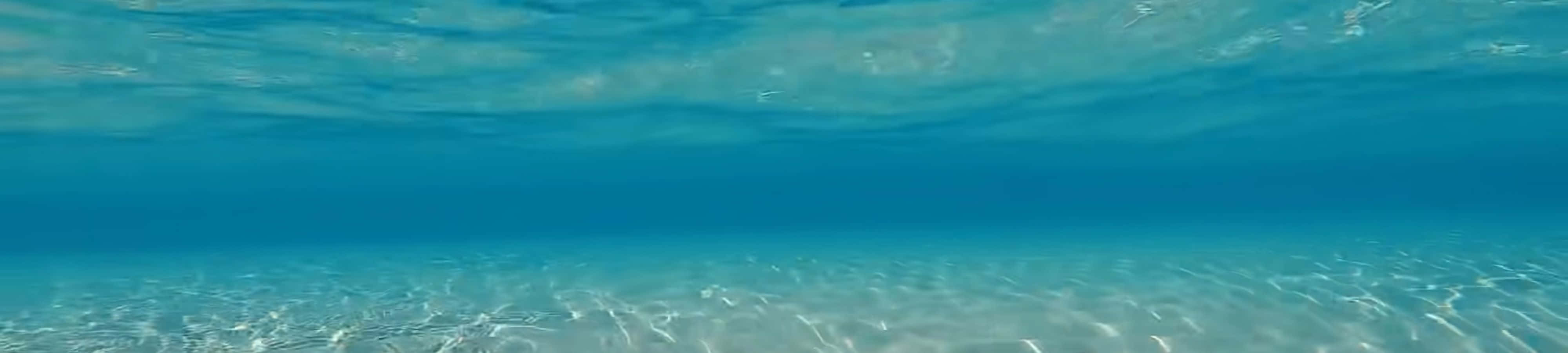Explorează și minunează-te de frumusețea impresionantă a naturii Fundal