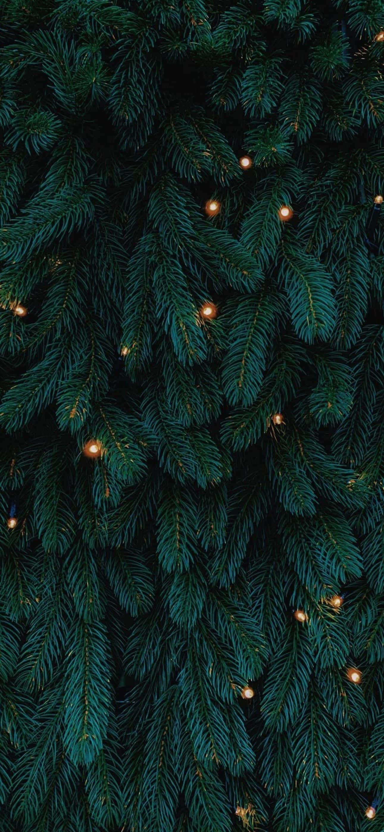 Fă-ți iPhone-ul festiv de Crăciun! Fundal