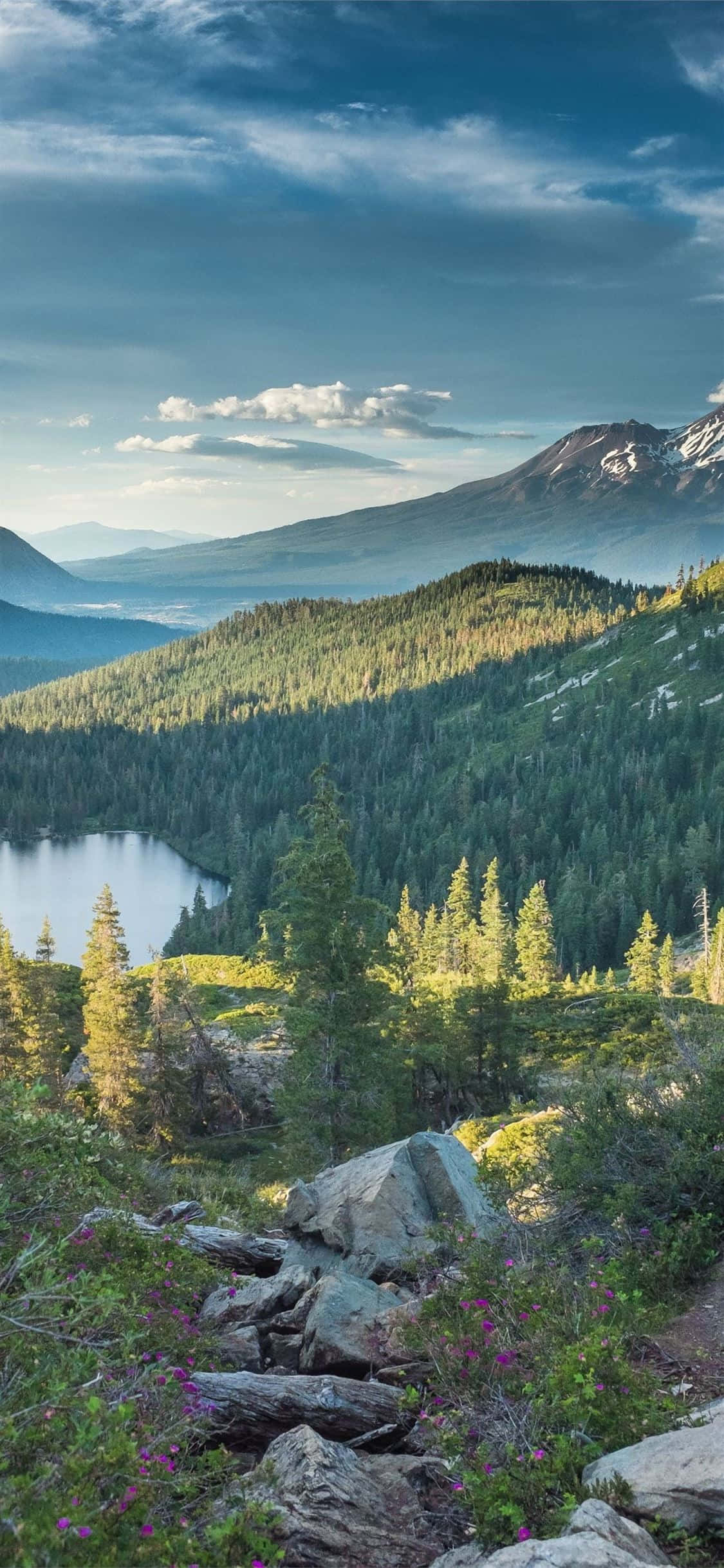 Fă un tur virtual al Californiei cu iPhone X Fundal