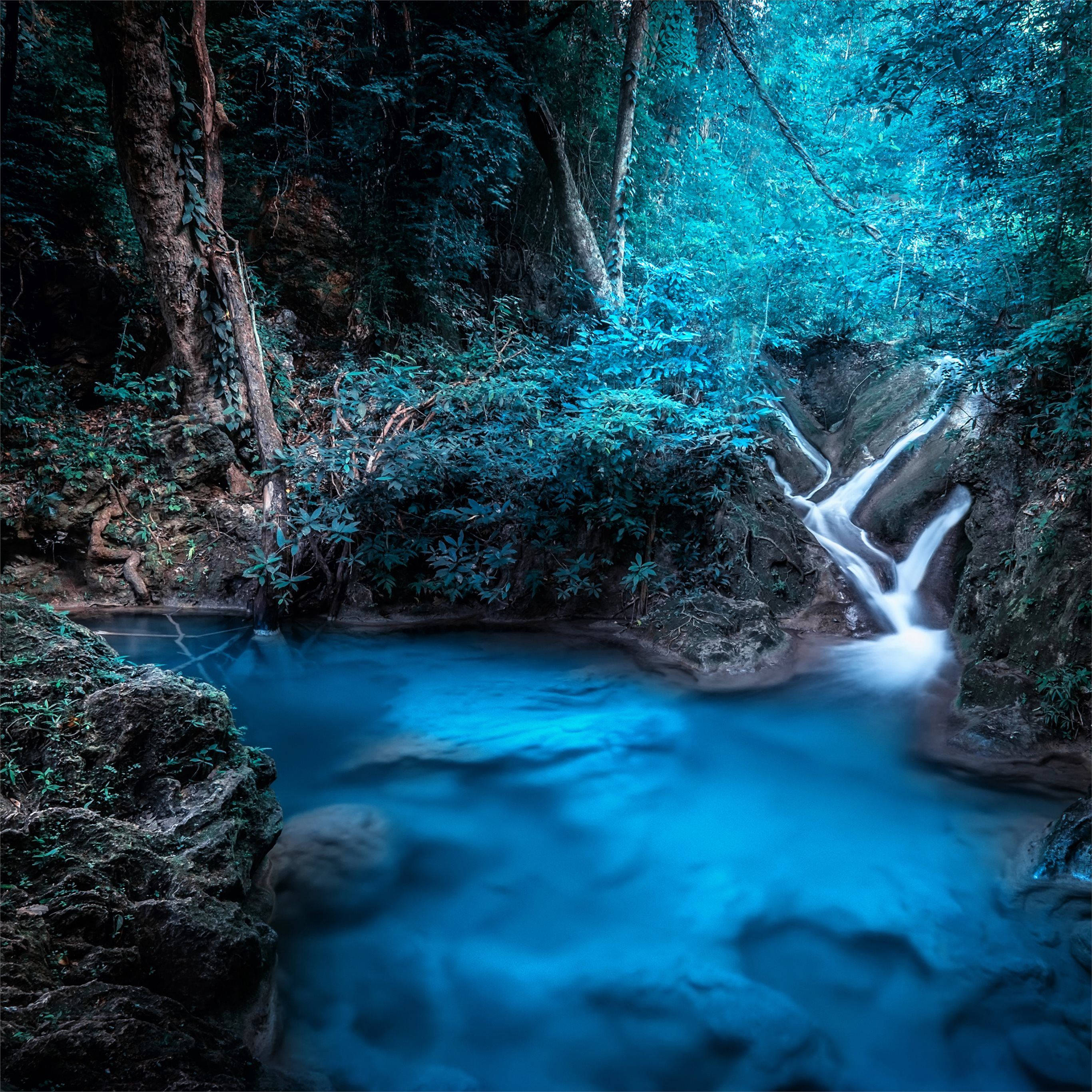 Fantezie cu Cascadă de Pădure Fundal