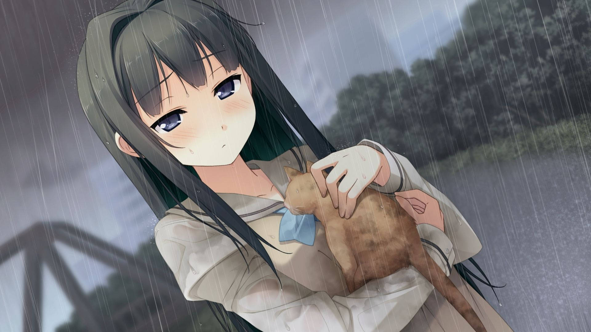 Fată anime cu pisică Nightcore Fundal