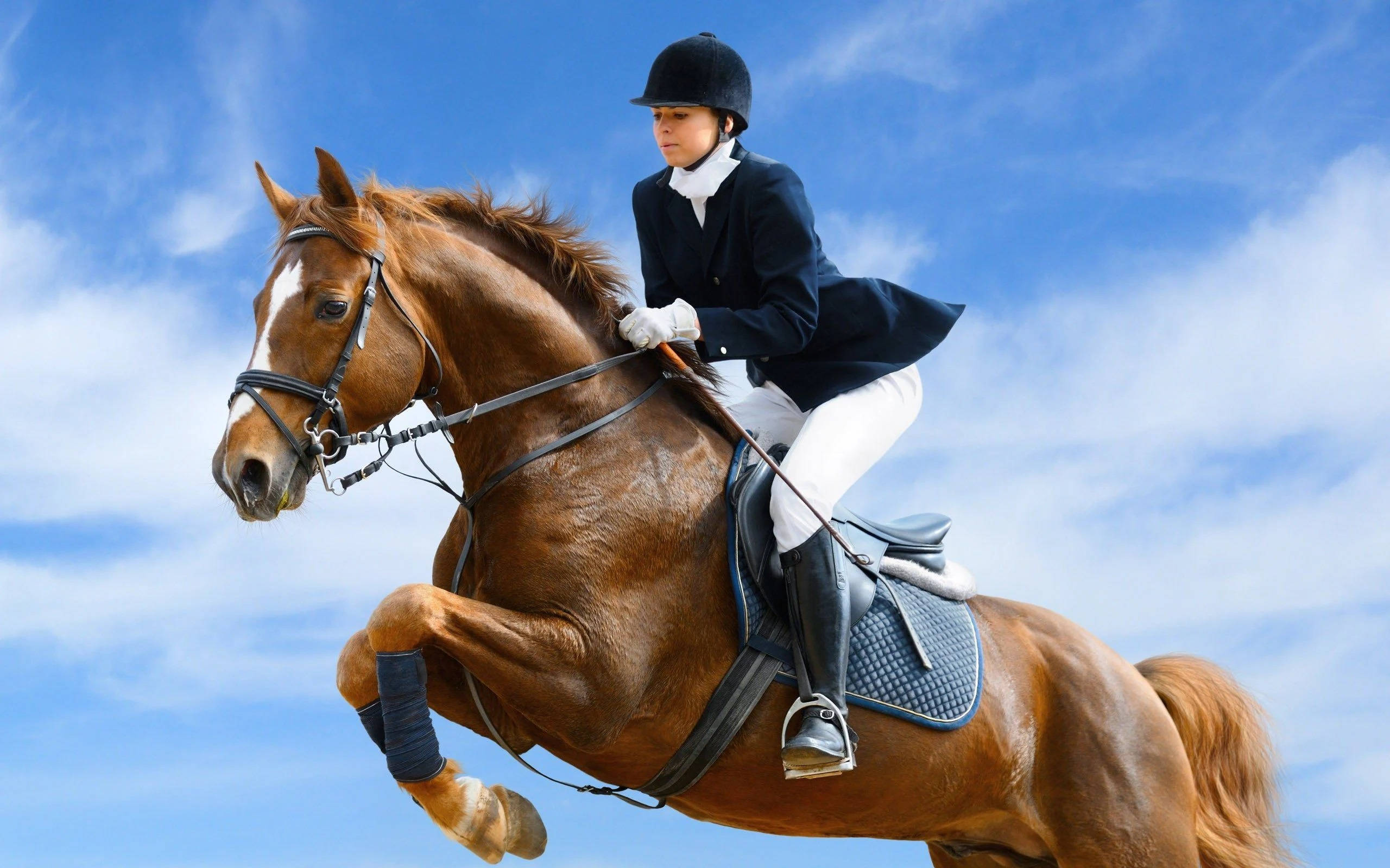 Femeie Călare Săritură Equestră Fundal