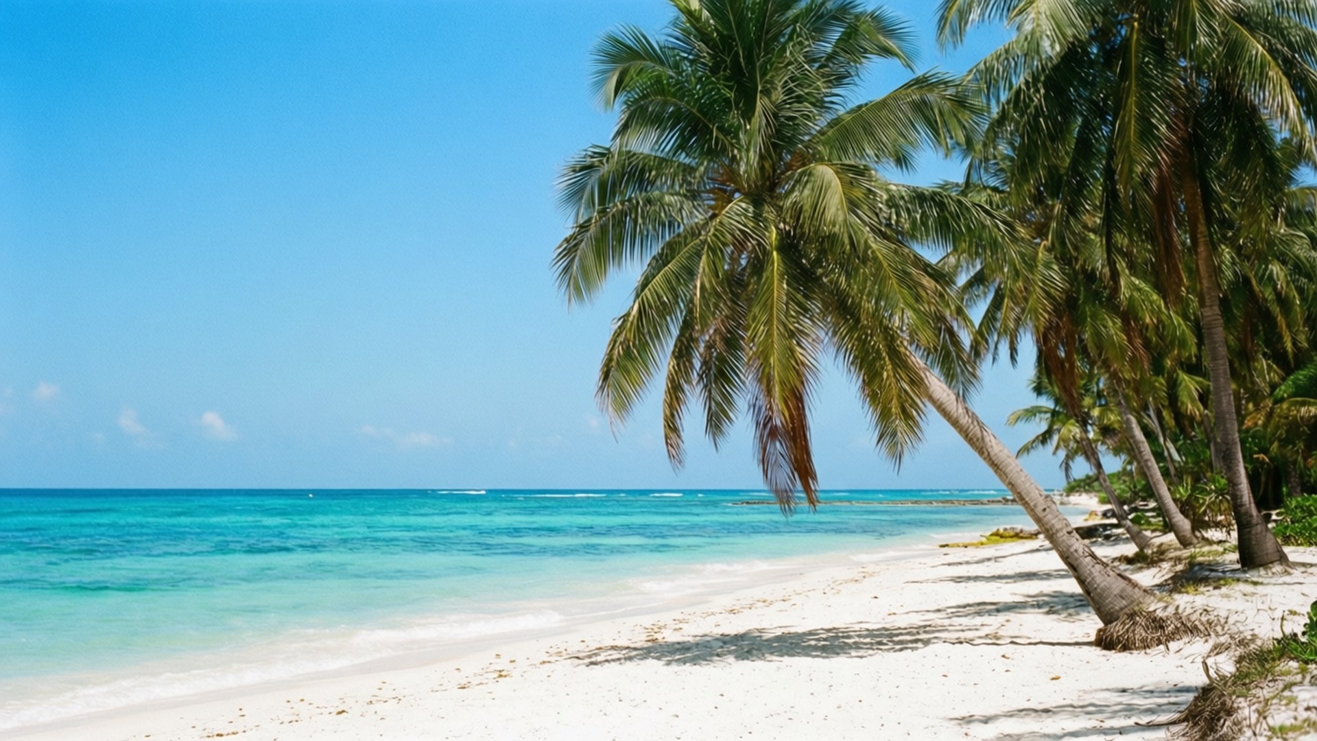 Fericire Tropicală pe Plajă Fundal