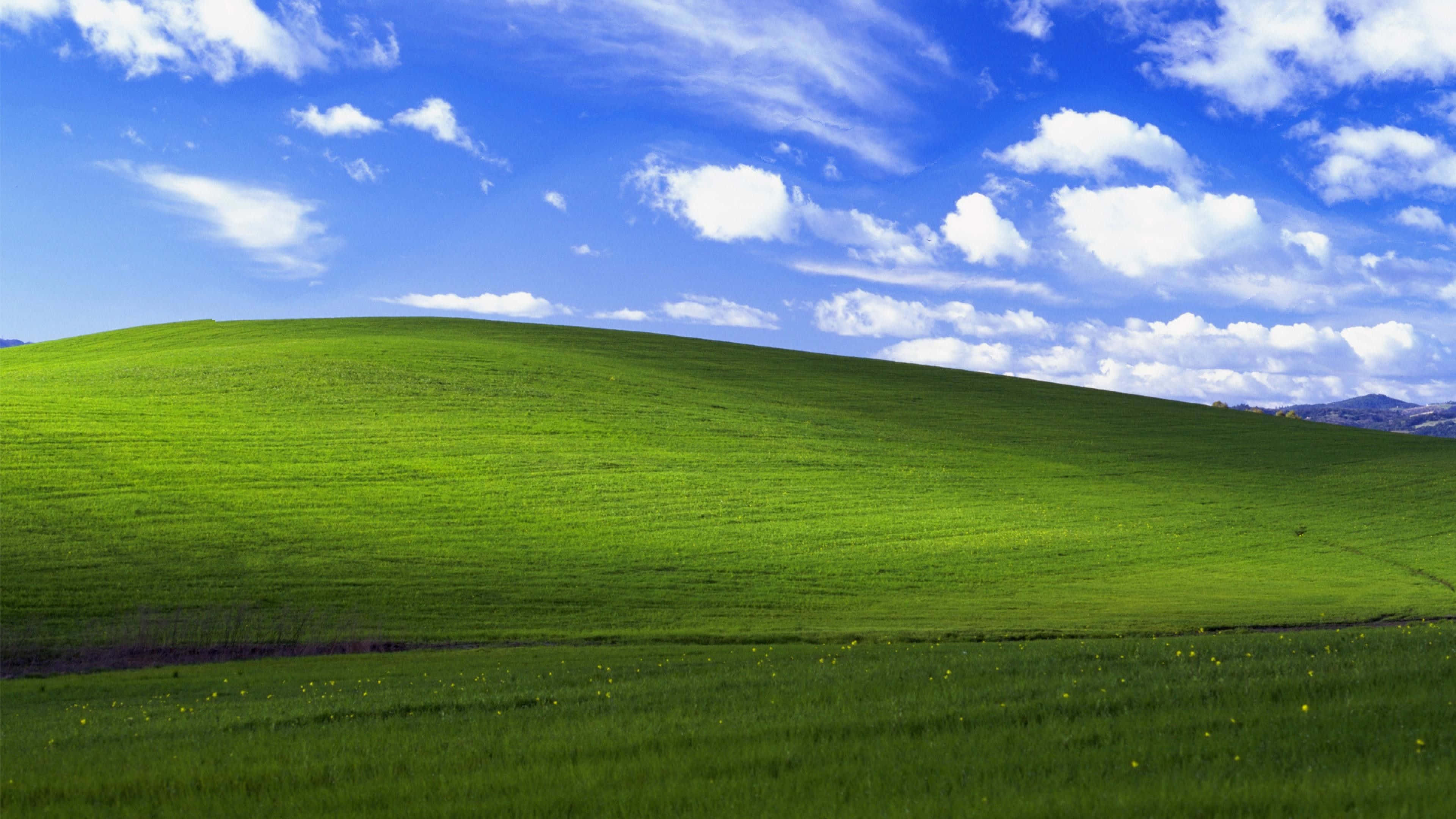 Fericirea implicită Windows 1 Fundal