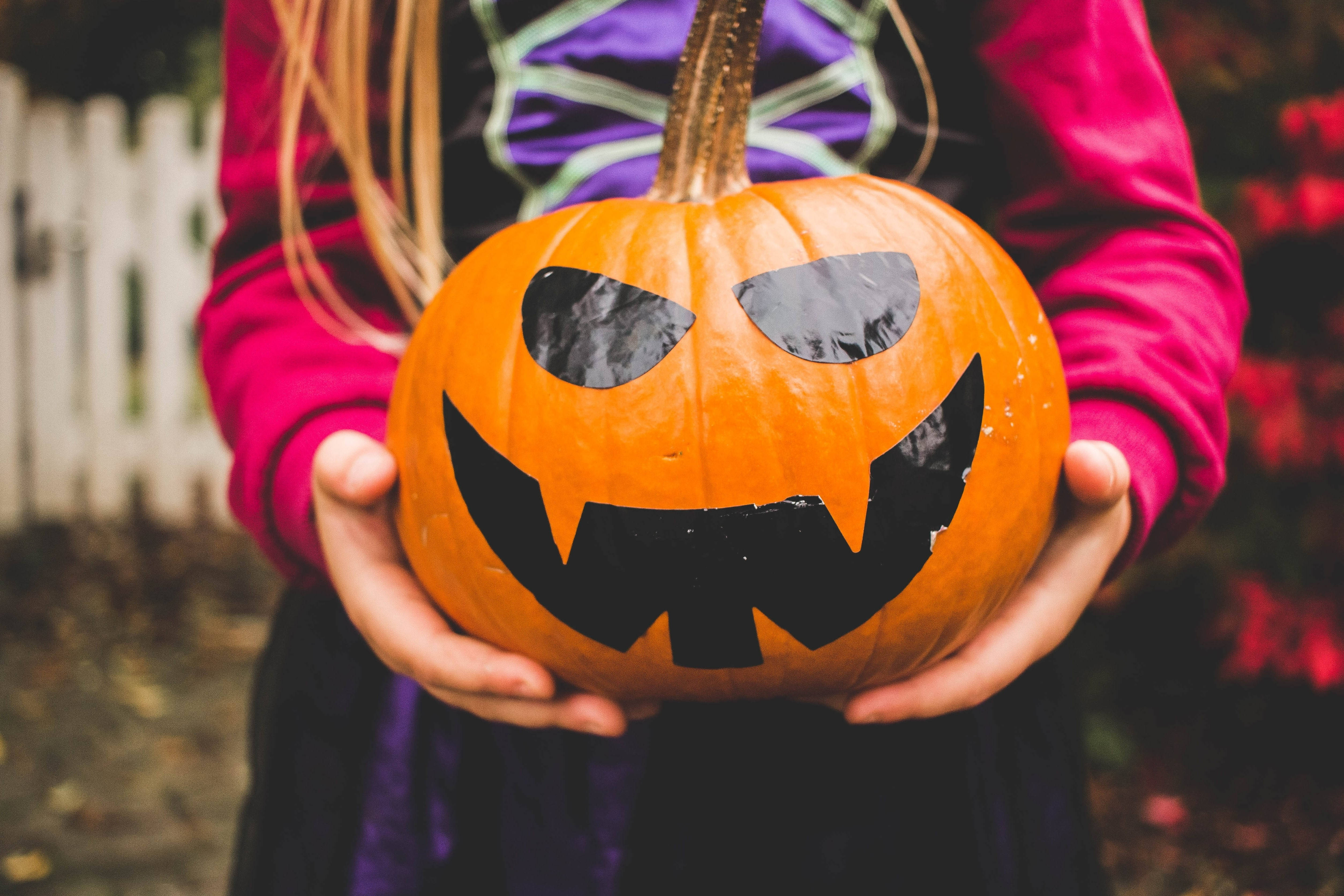 Fetiță drăguță de Halloween cu dovleac Fundal