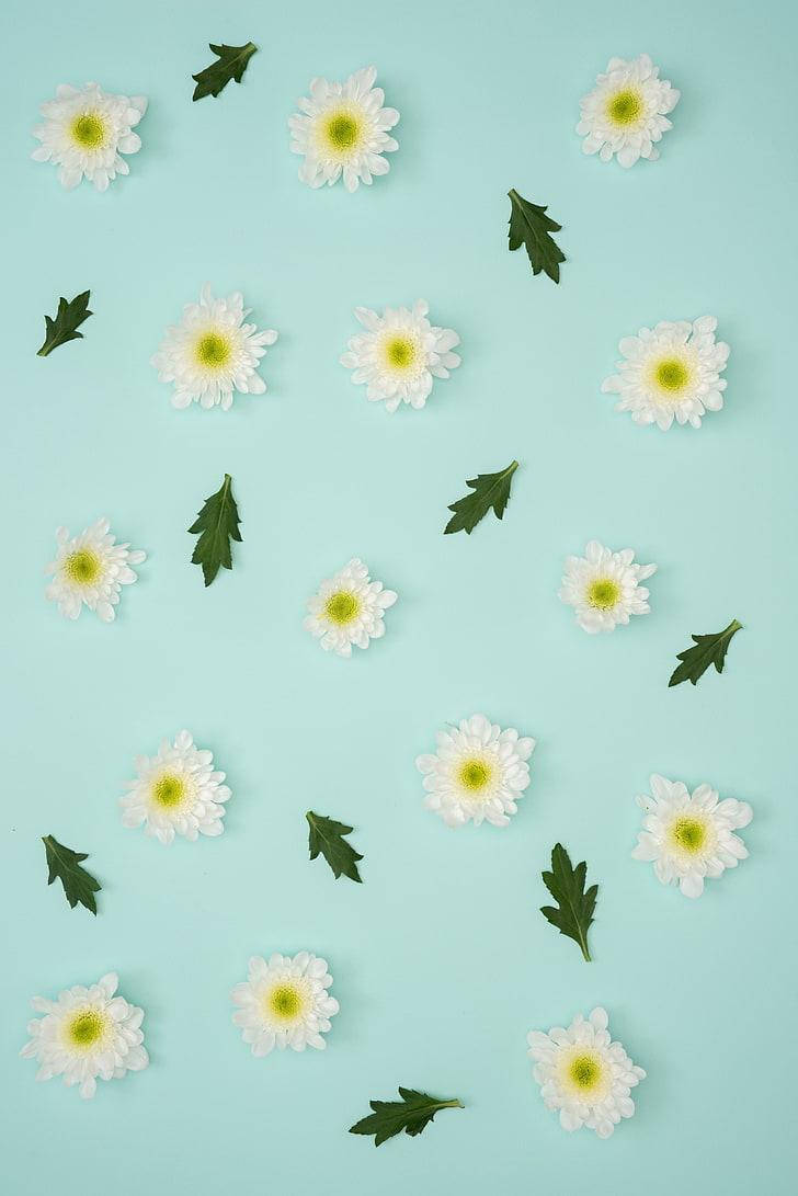 Floare albastră pastel pentru iPhone Fundal