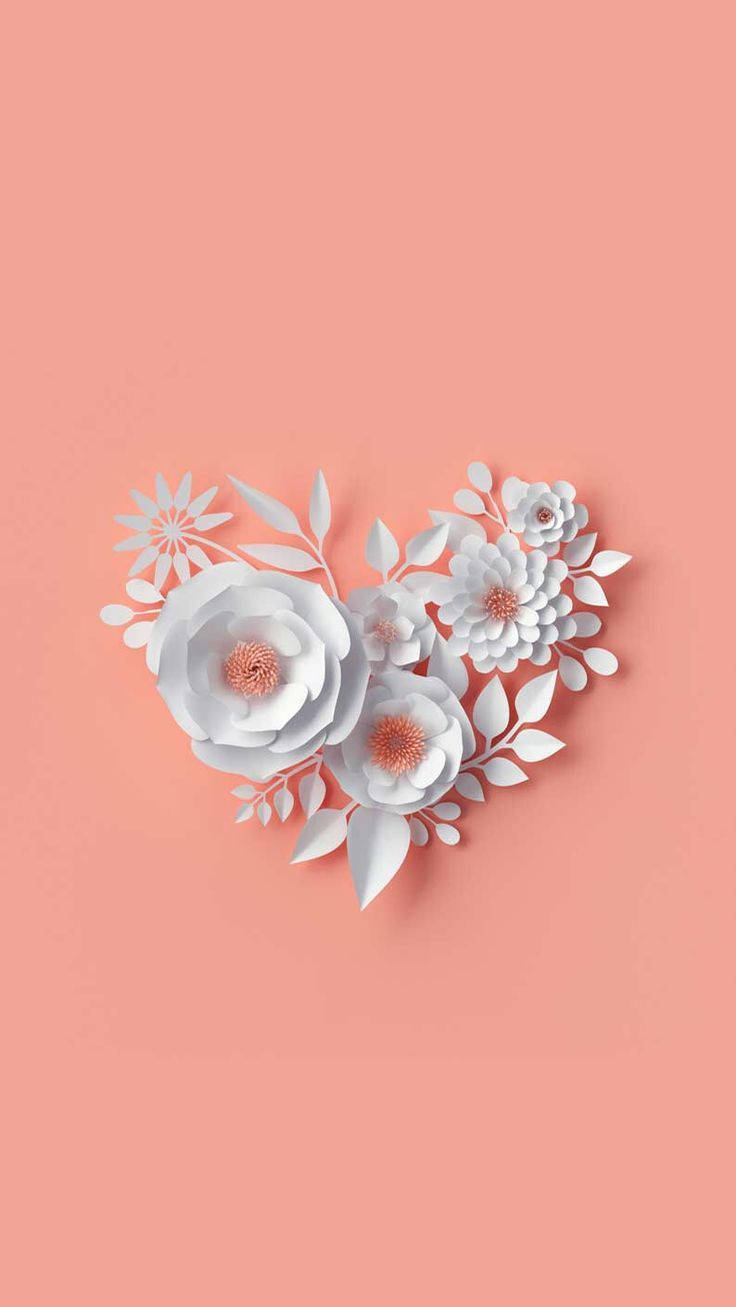 Floare Artificială Albă Floral iPhone Fundal