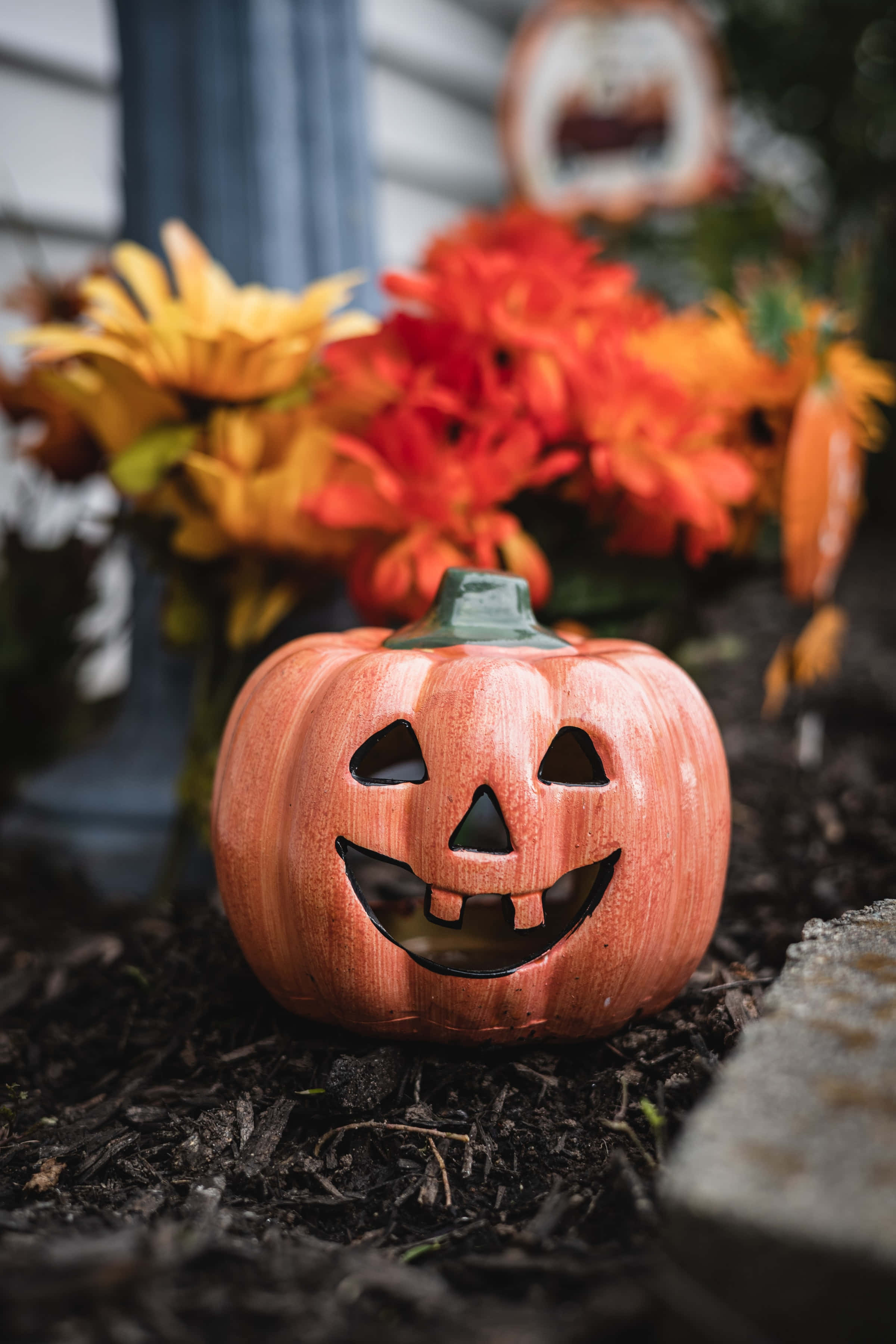 Floare de Dovleac Fundal de Halloween de Înaltă Rezoluție Fundal