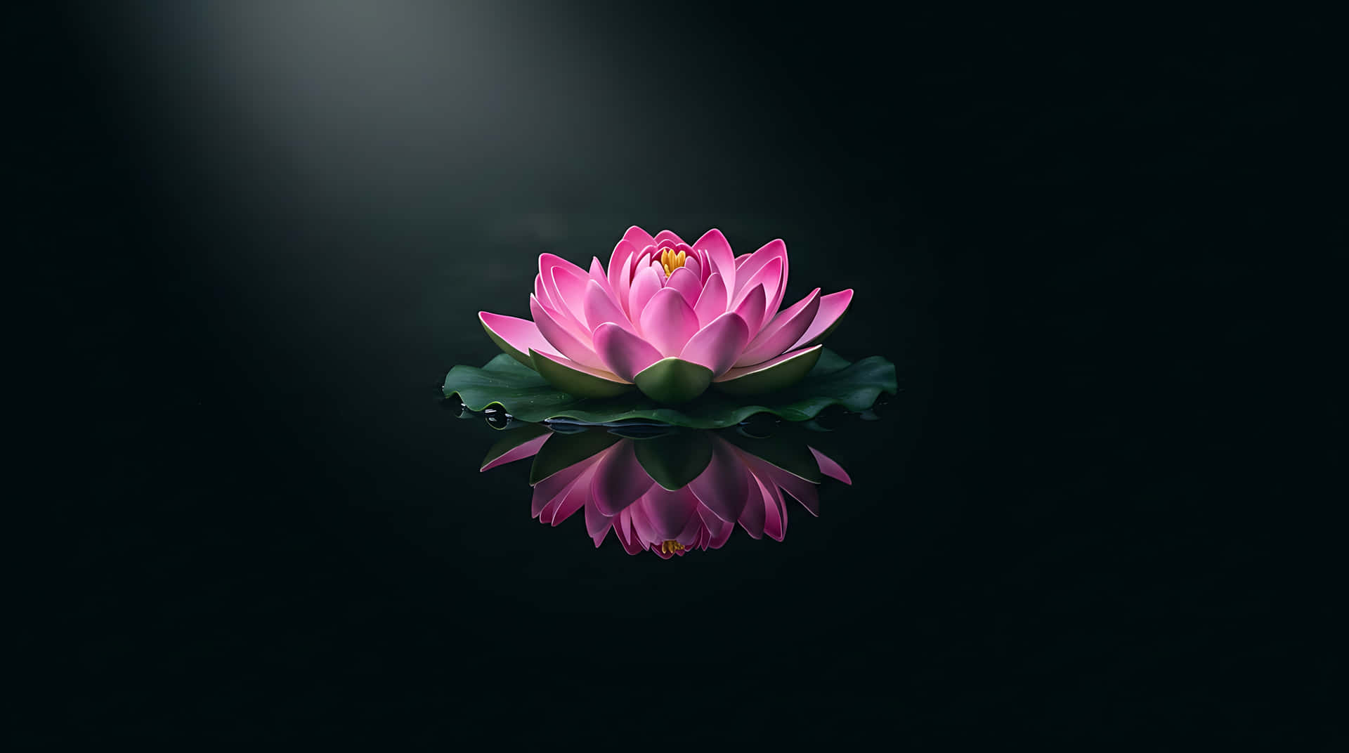 lotus, lotus roz, nufăr, reflexie, zen, meditație, wellness, plutind, minimalist, spa, liniștit, calm, fundal întunecat, natură, floare, înflorire, puritate, spiritualitate, yoga, relaxare — Flori Fundal