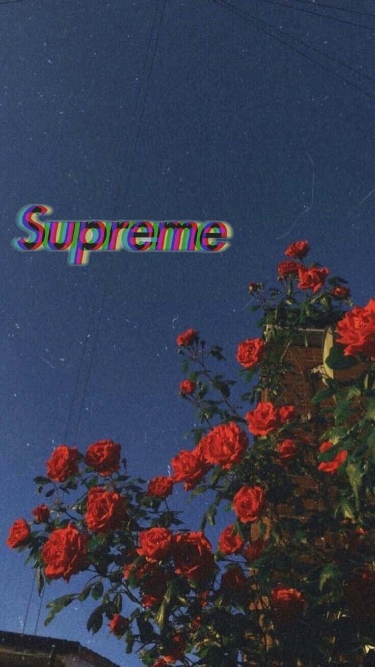 Floare Roșii Supreme Aesthetic Tumblr Fundal