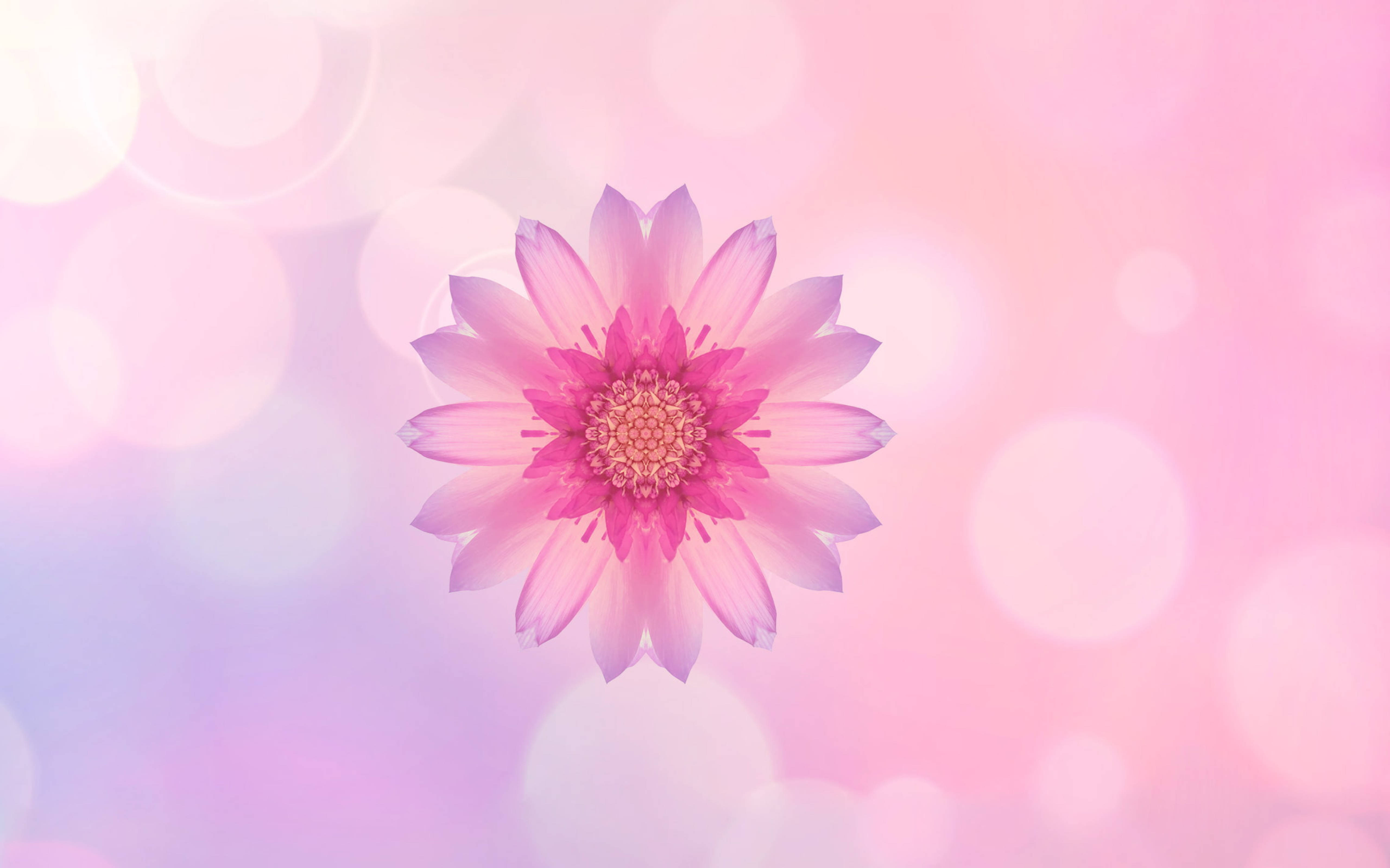 Floare Roz Huawei Fundal