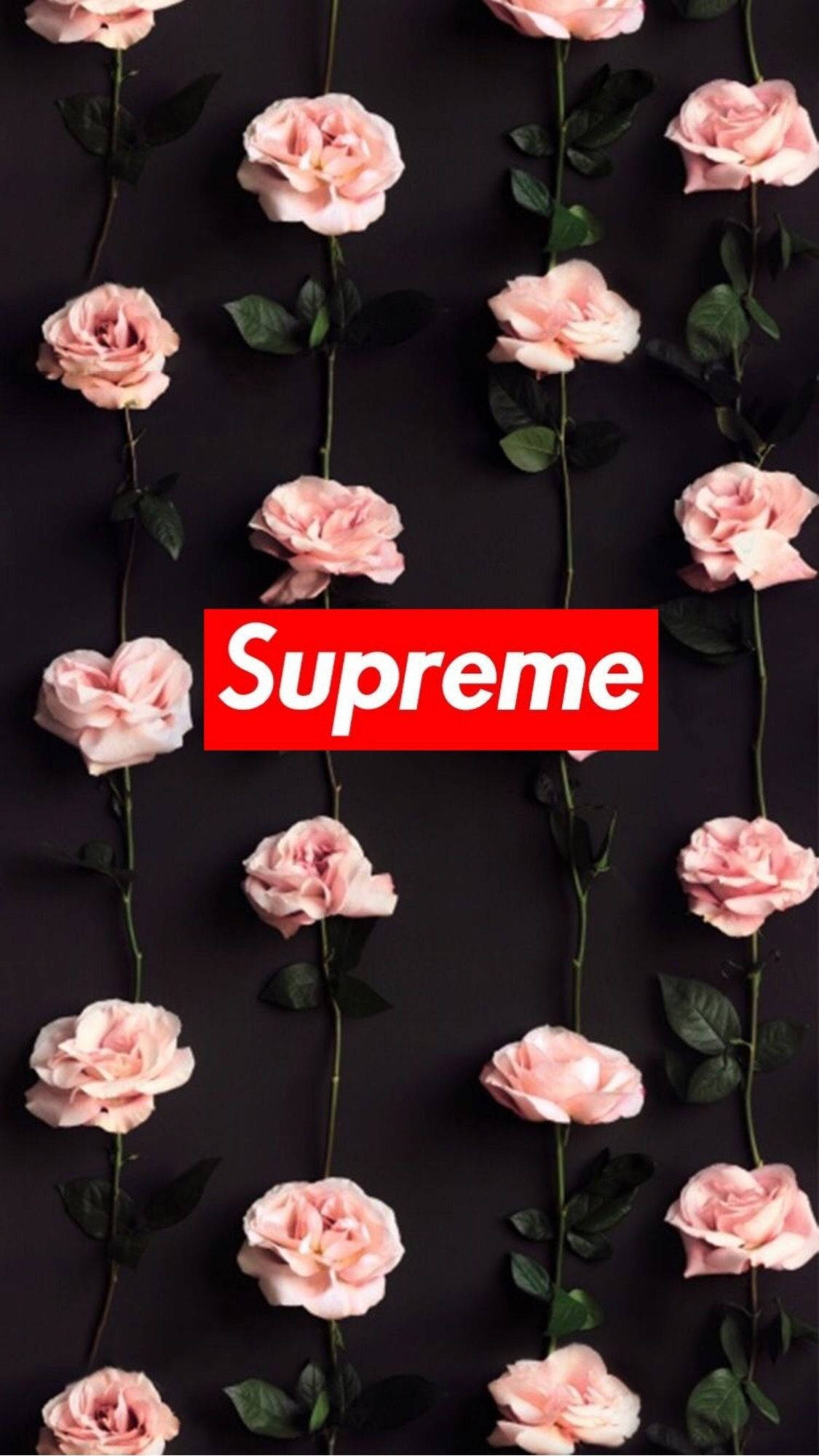 Floare roz Supreme drăguță pentru iPhone Fundal