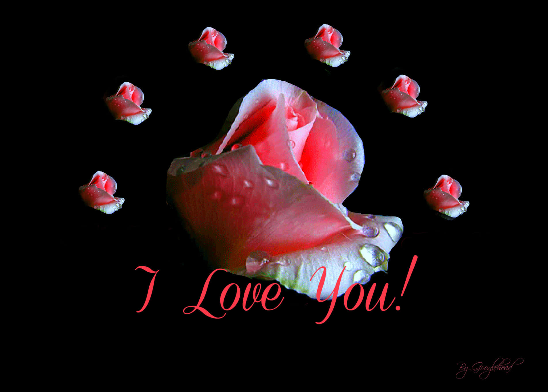 Floare Roz Te Iubesc Imagine Fundal