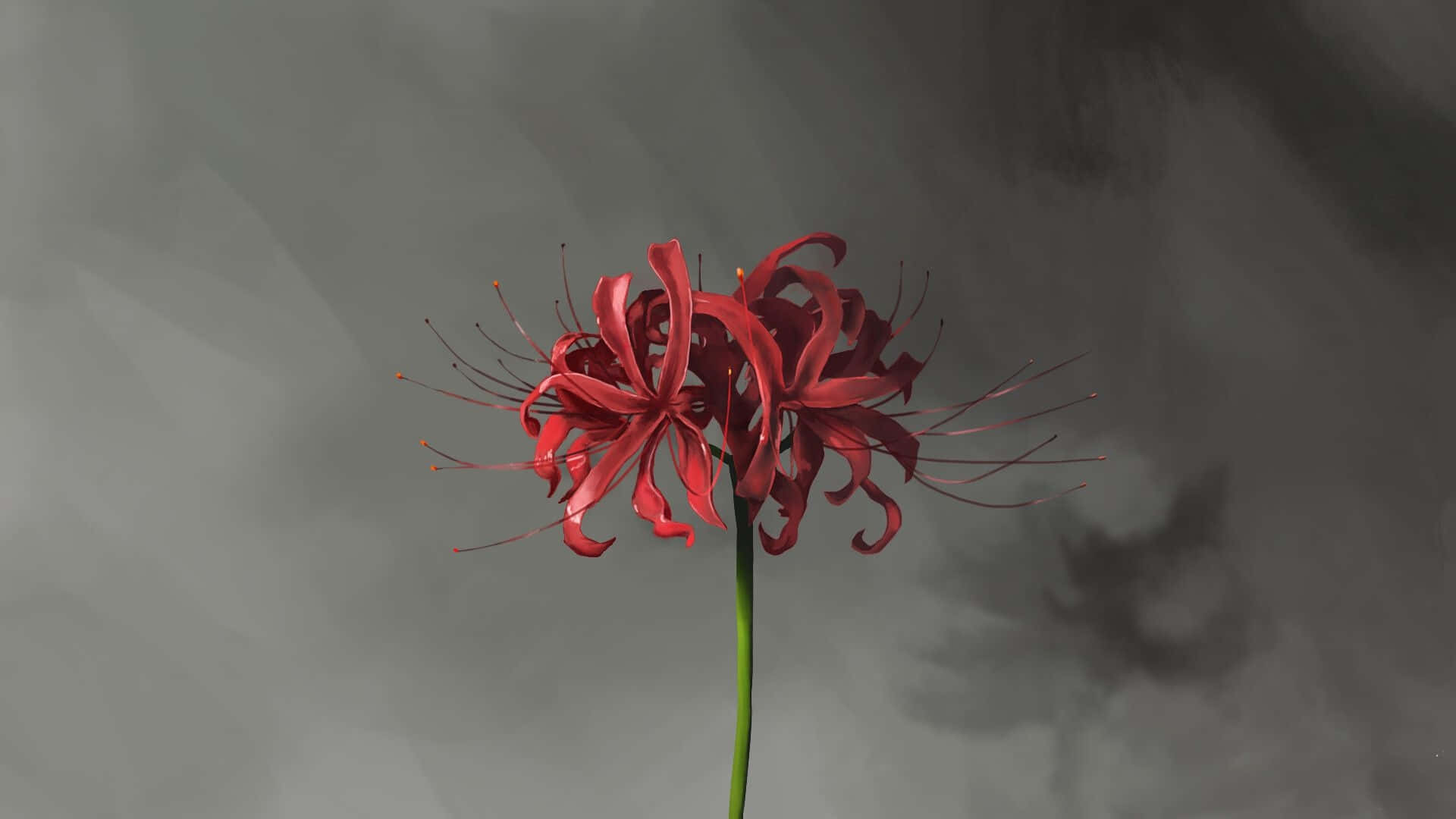 Floare Tokyo Ghoul cu Umbră Fundal