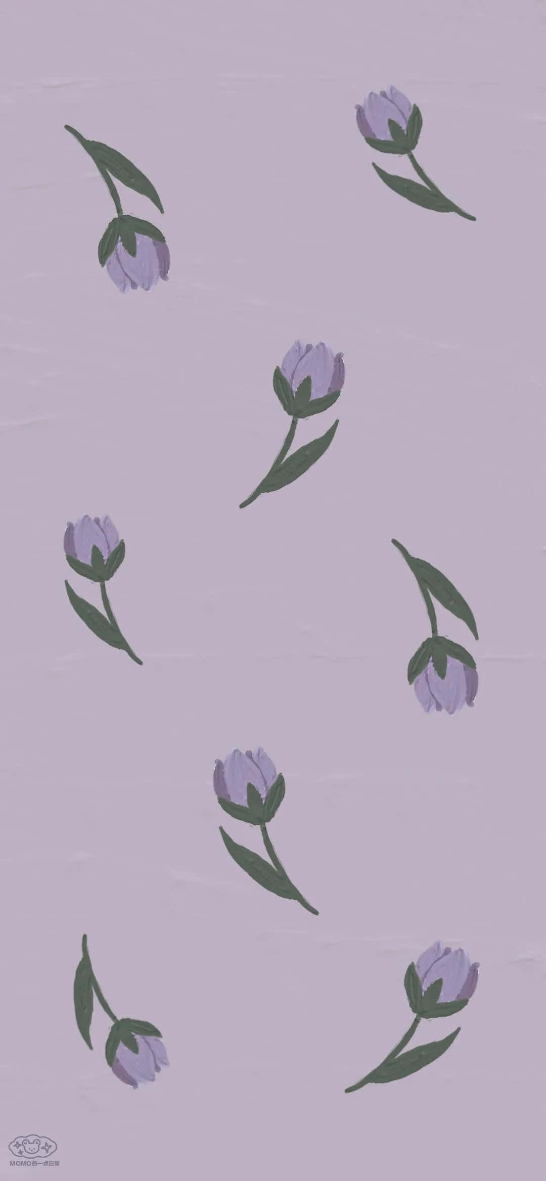 Floare Violet Suculentă Fundal