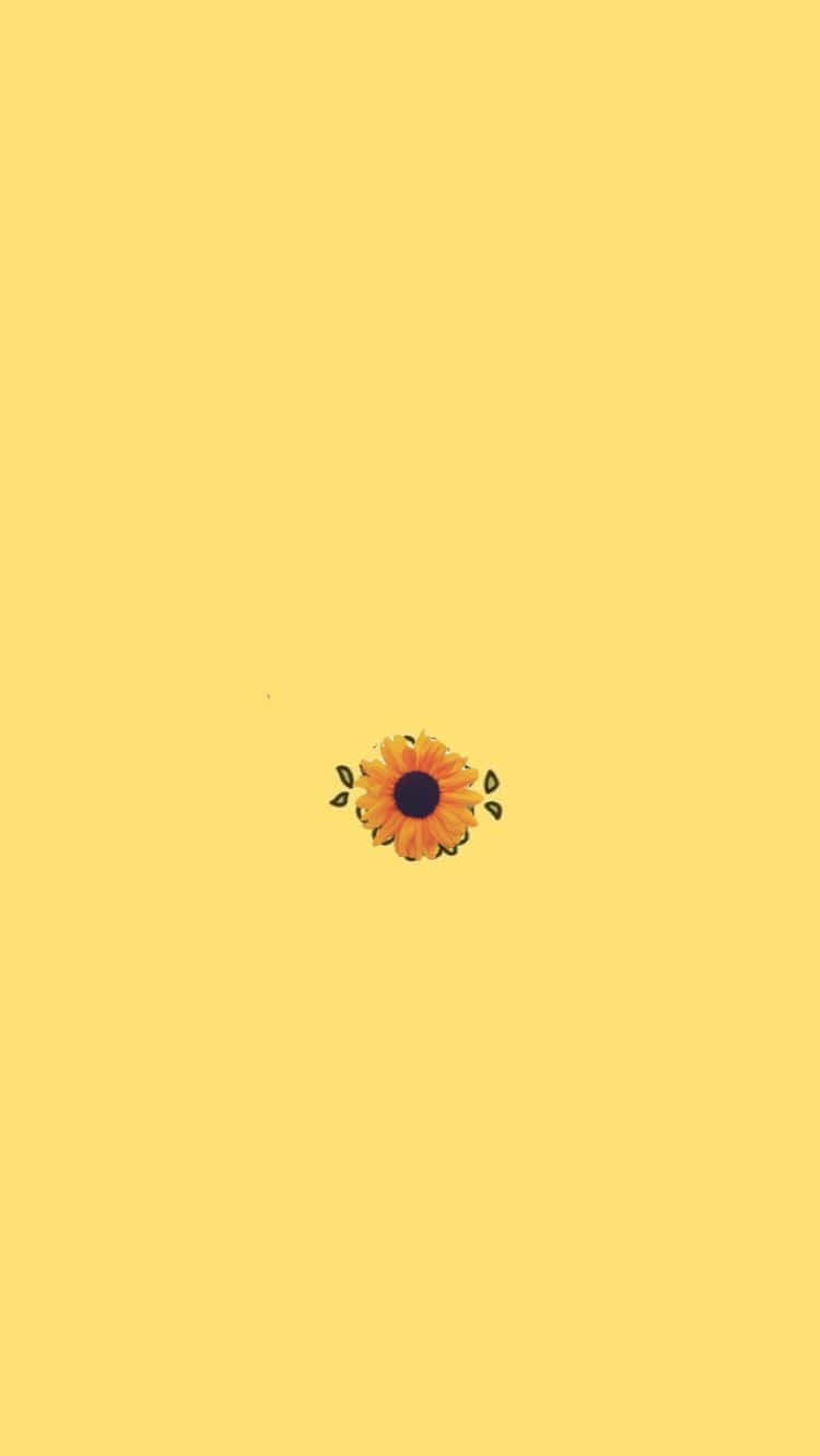Floarea-soarelui minimalistă galben pastel drăguț Fundal