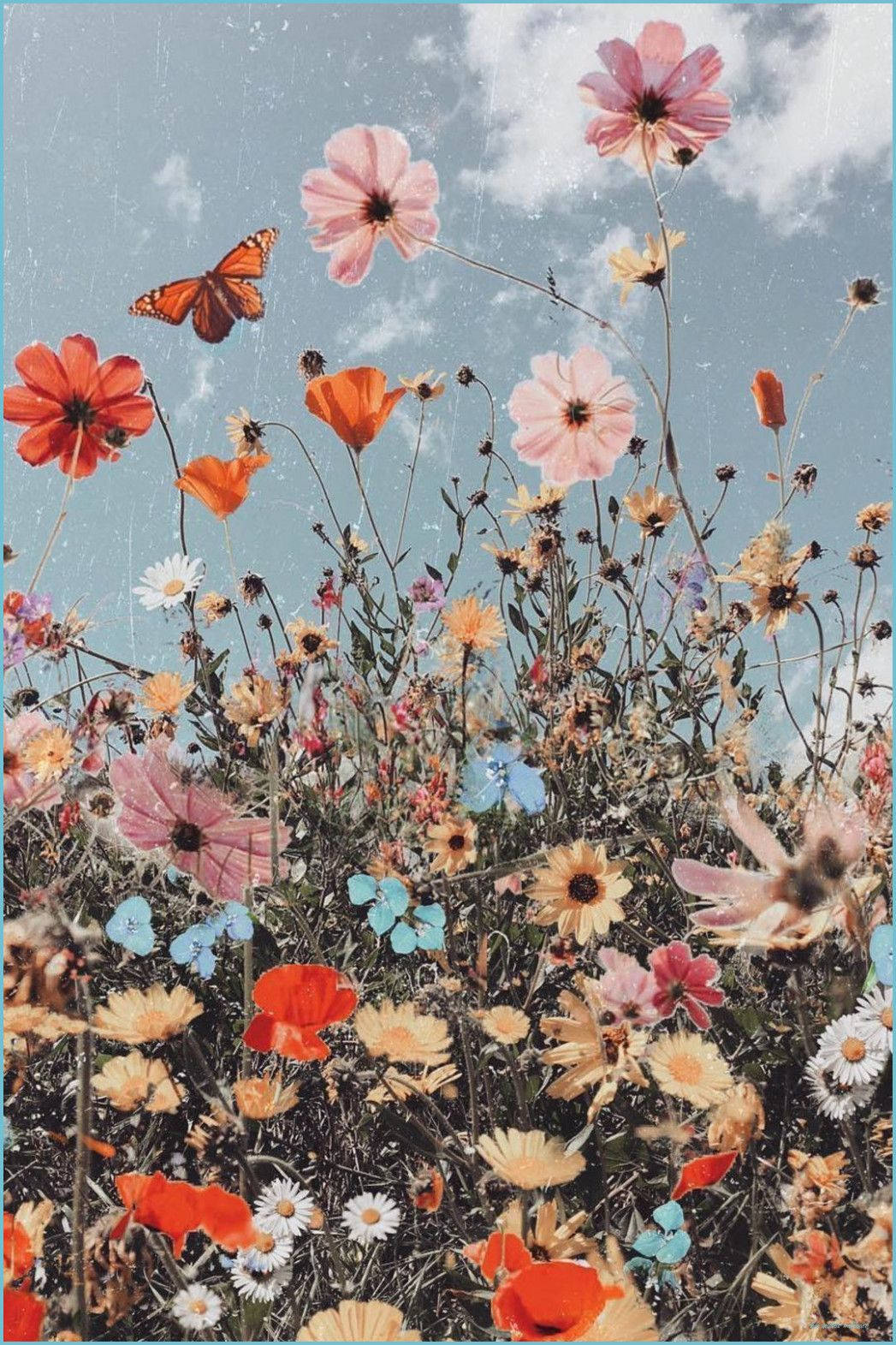 Flori Boho Aesthetice Fundal