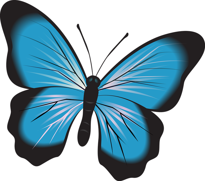 Fluture albastru vibrant vector Fundal