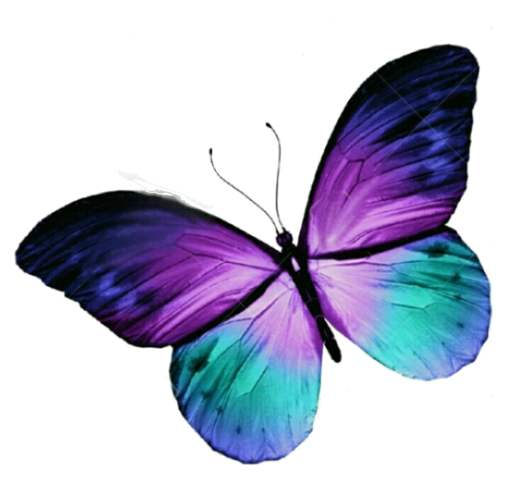 Fluture violet vibrant Fundal