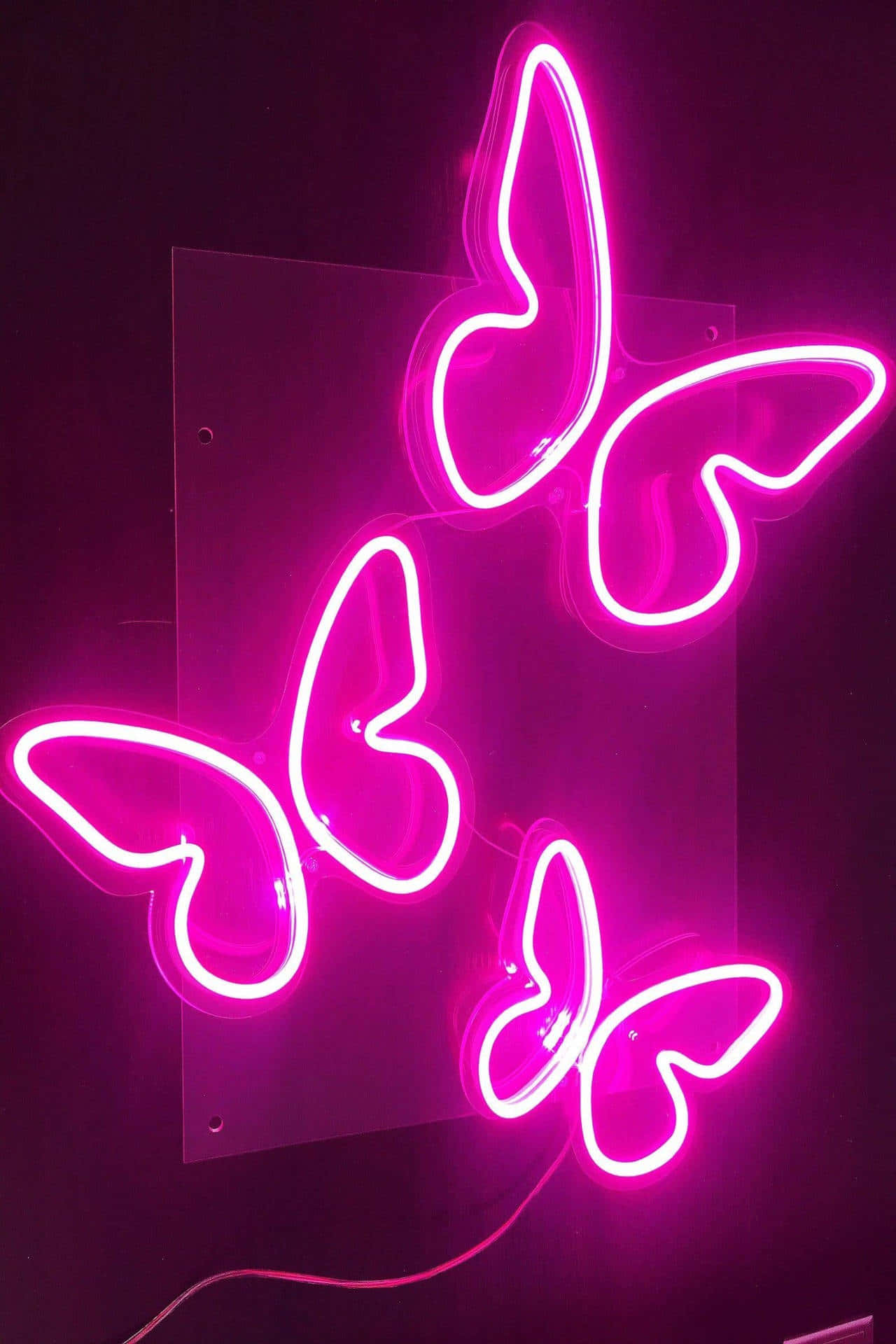 Fluturi Neon Roz Estetici Fundal