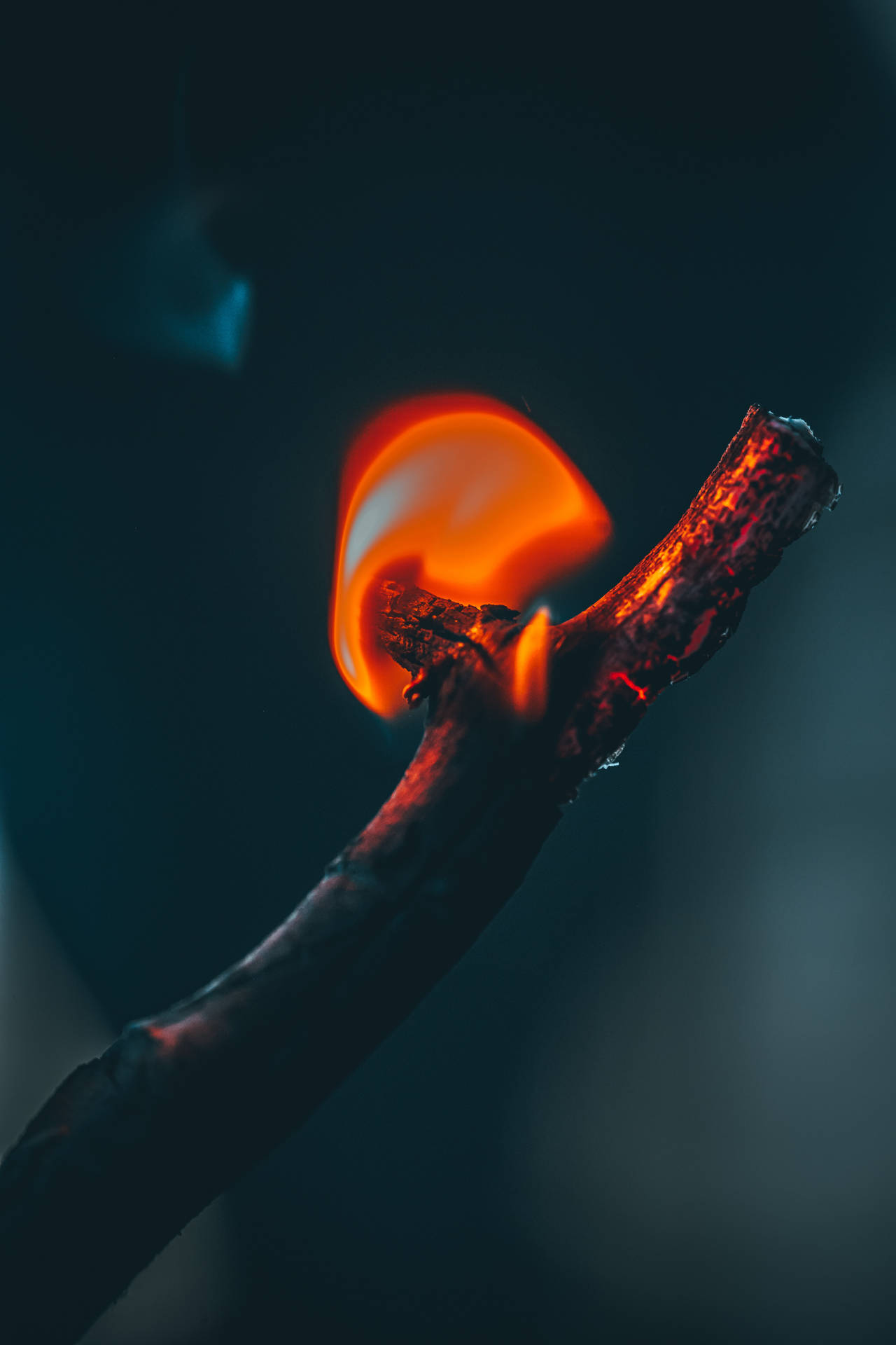 Creangă cuprinsă de un foc mic, cu flăcări roșu-portocalii pe un cer întunecat de noapte.