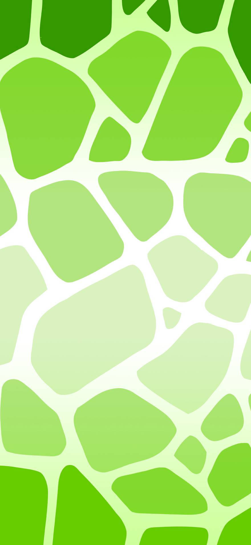 Fon de telefon cu imprimeu de vacă verde foarte deschis Fundal