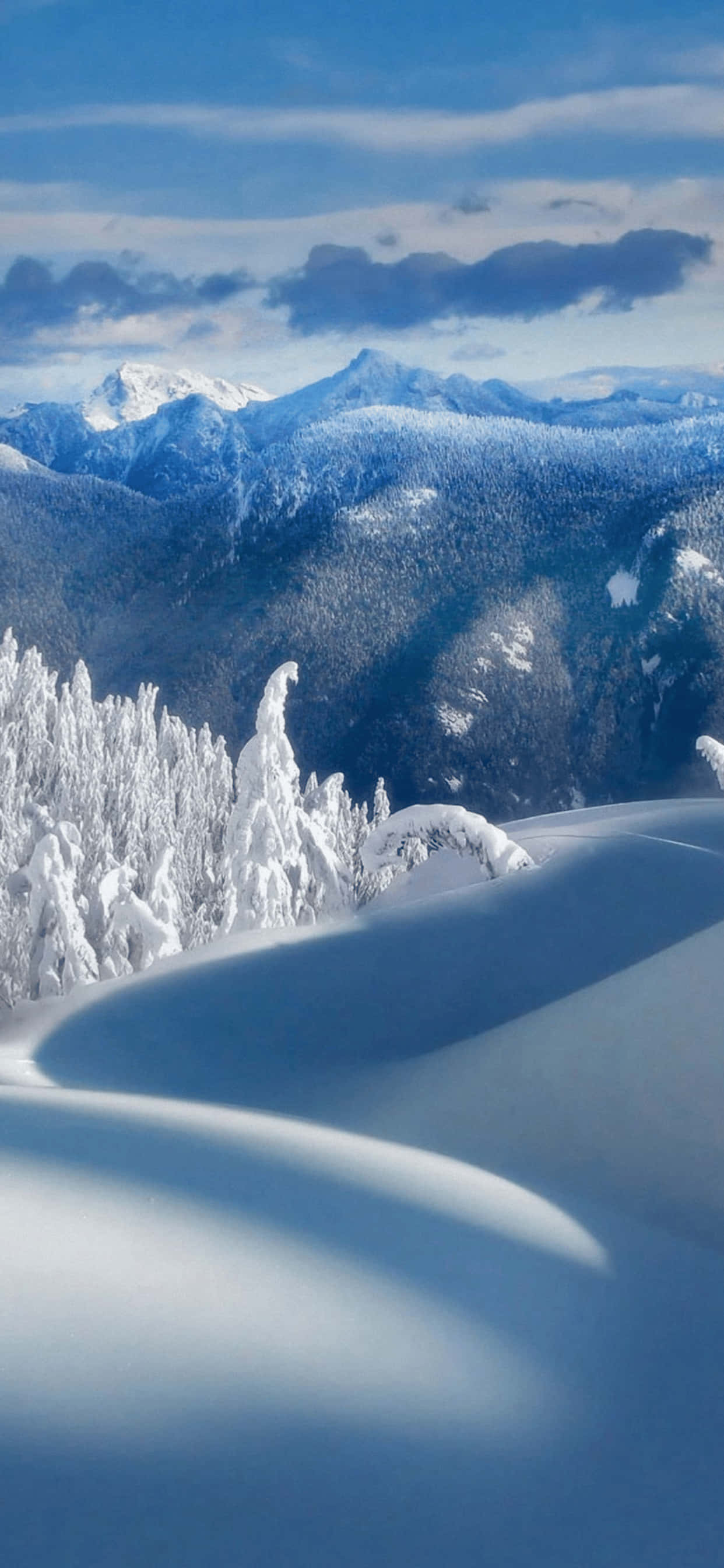 Fond atractiv Winter Wonderland pentru iPhone XS Max Fundal