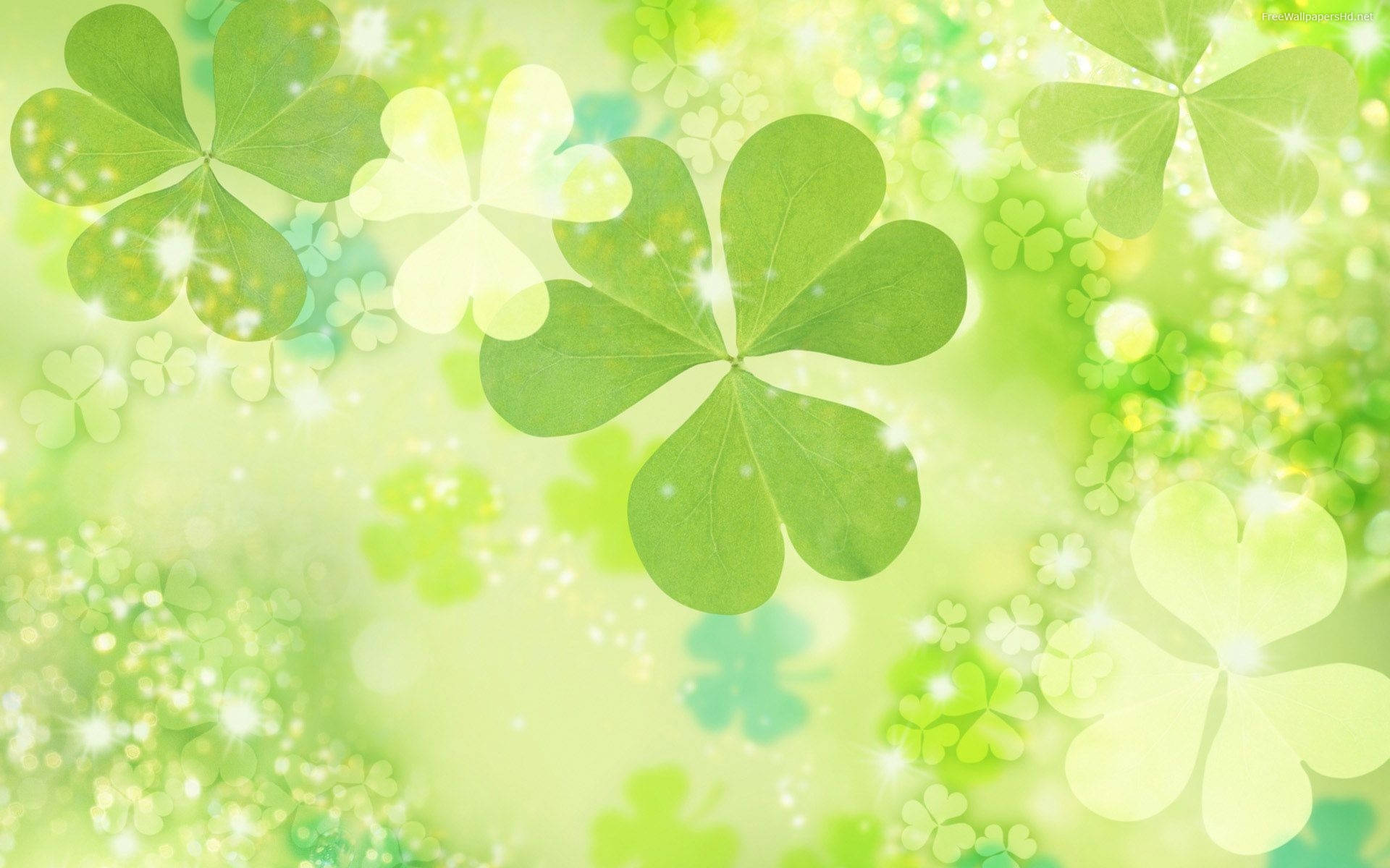 Fond de ecran cu trifoi verde foarte deschis Fundal