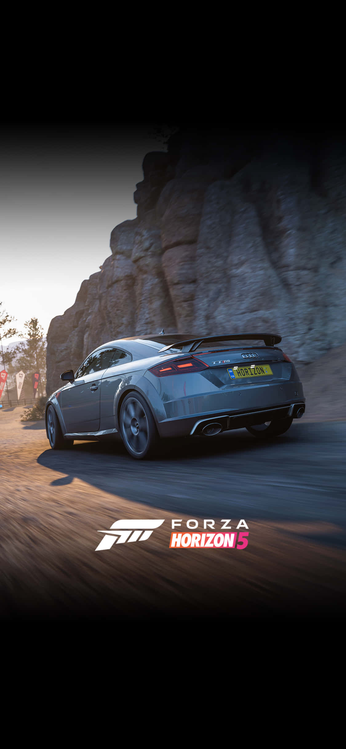 Fond de ecran iPhone X Forza Motorsport 7 Audi TT Fundal
