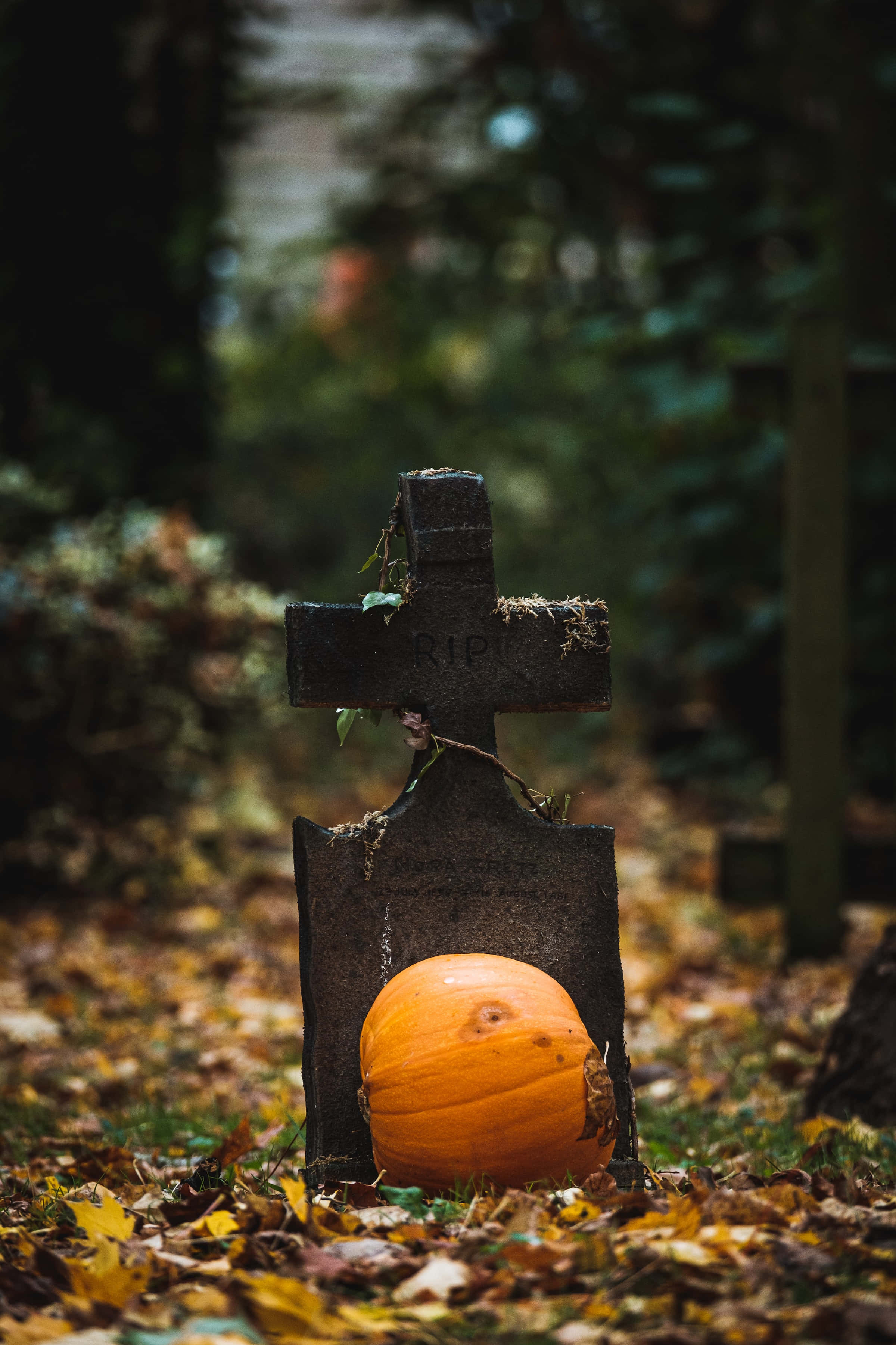 Fond de Halloween cu Cimitir, Rezoluție Înaltă Fundal