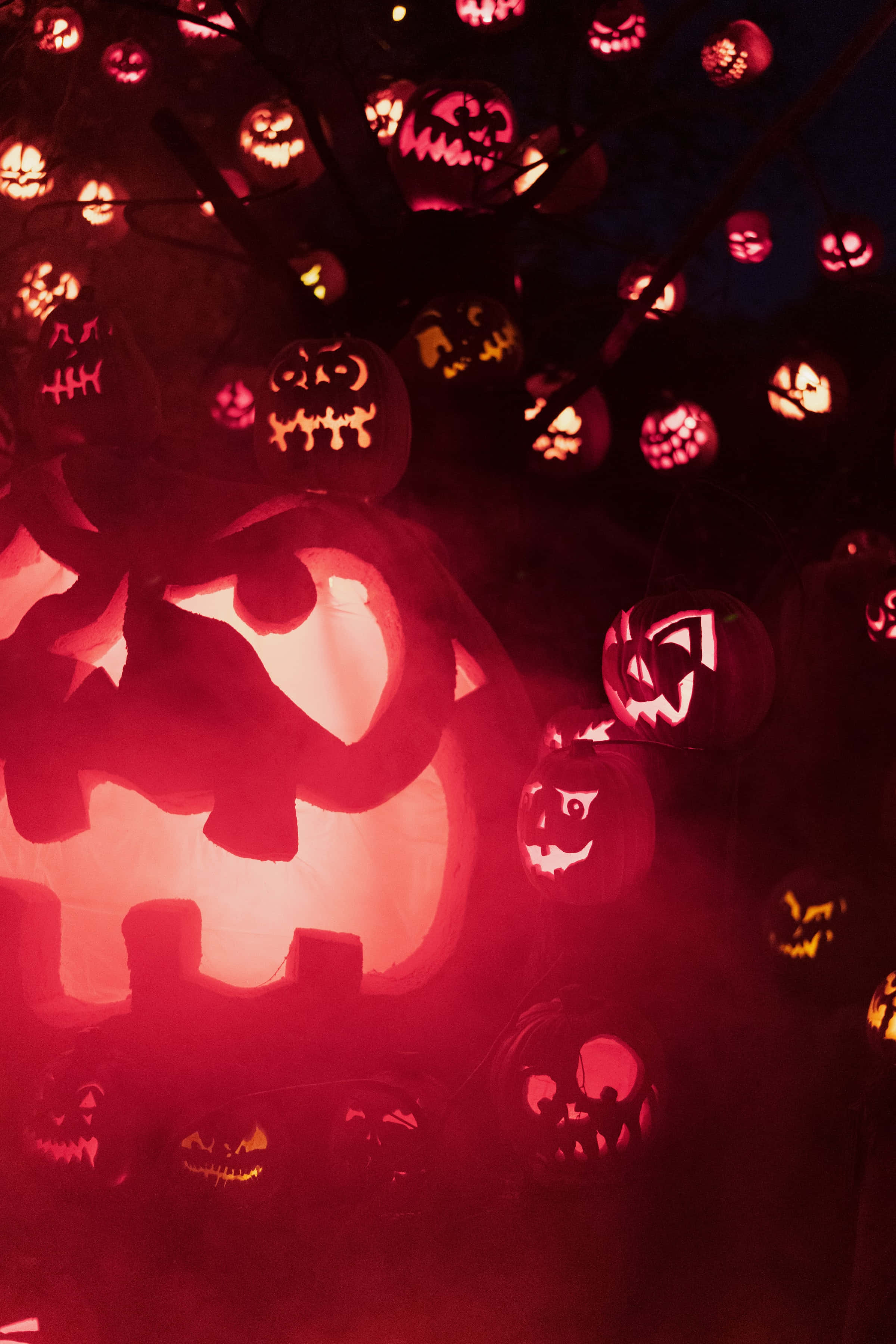 Fond de Halloween de Înaltă Rezoluție cu Dovleci Jack-O-Lantern Strălucitori Fundal