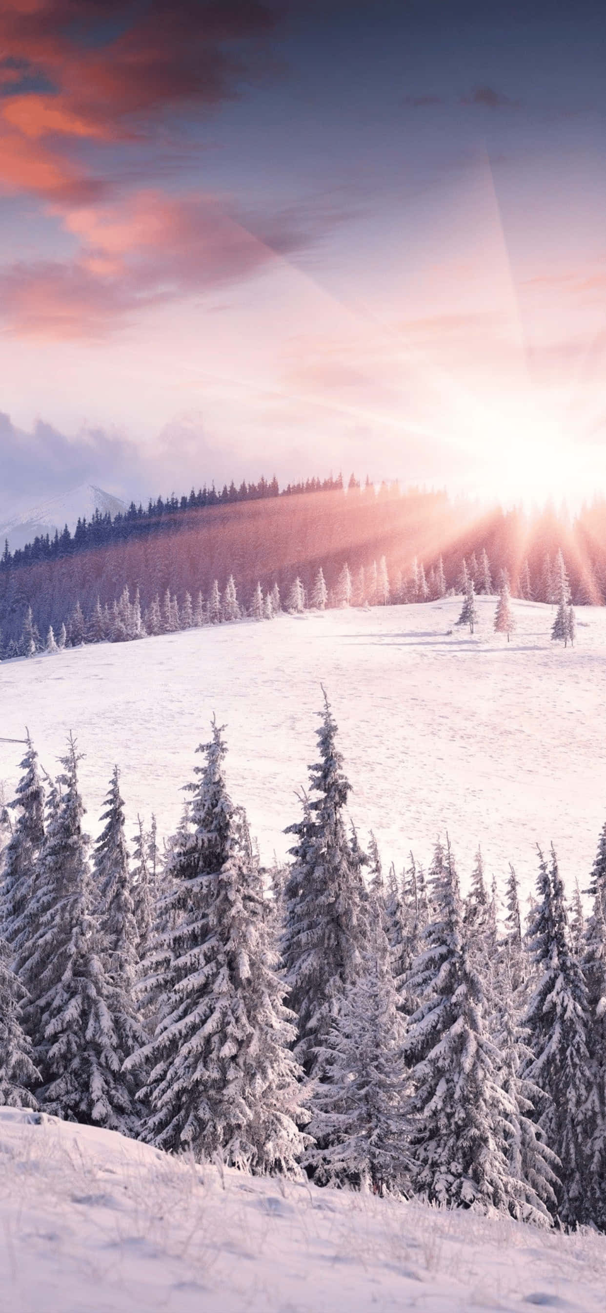 Fond de iarnă Snowy Mountain Hill pentru iPhone XS Max Fundal