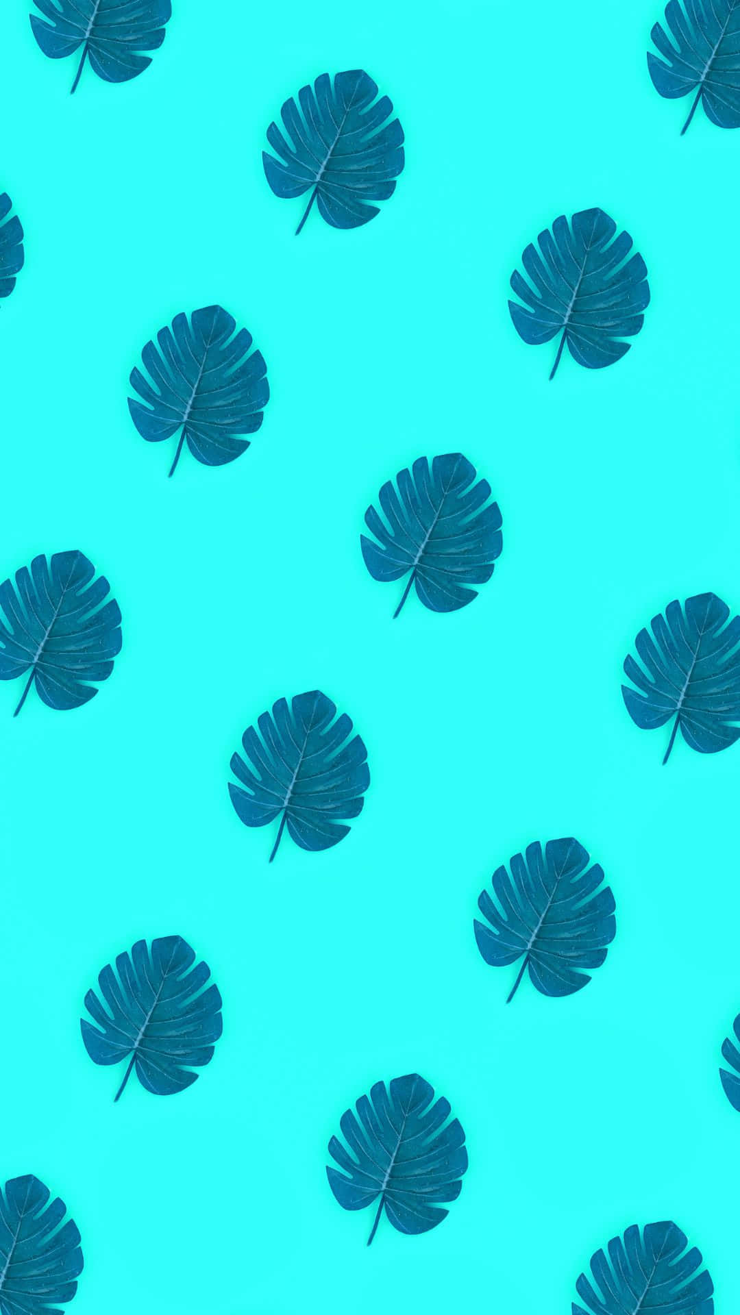 Fond de model estetic VSCO cu frunze de monstera Fundal