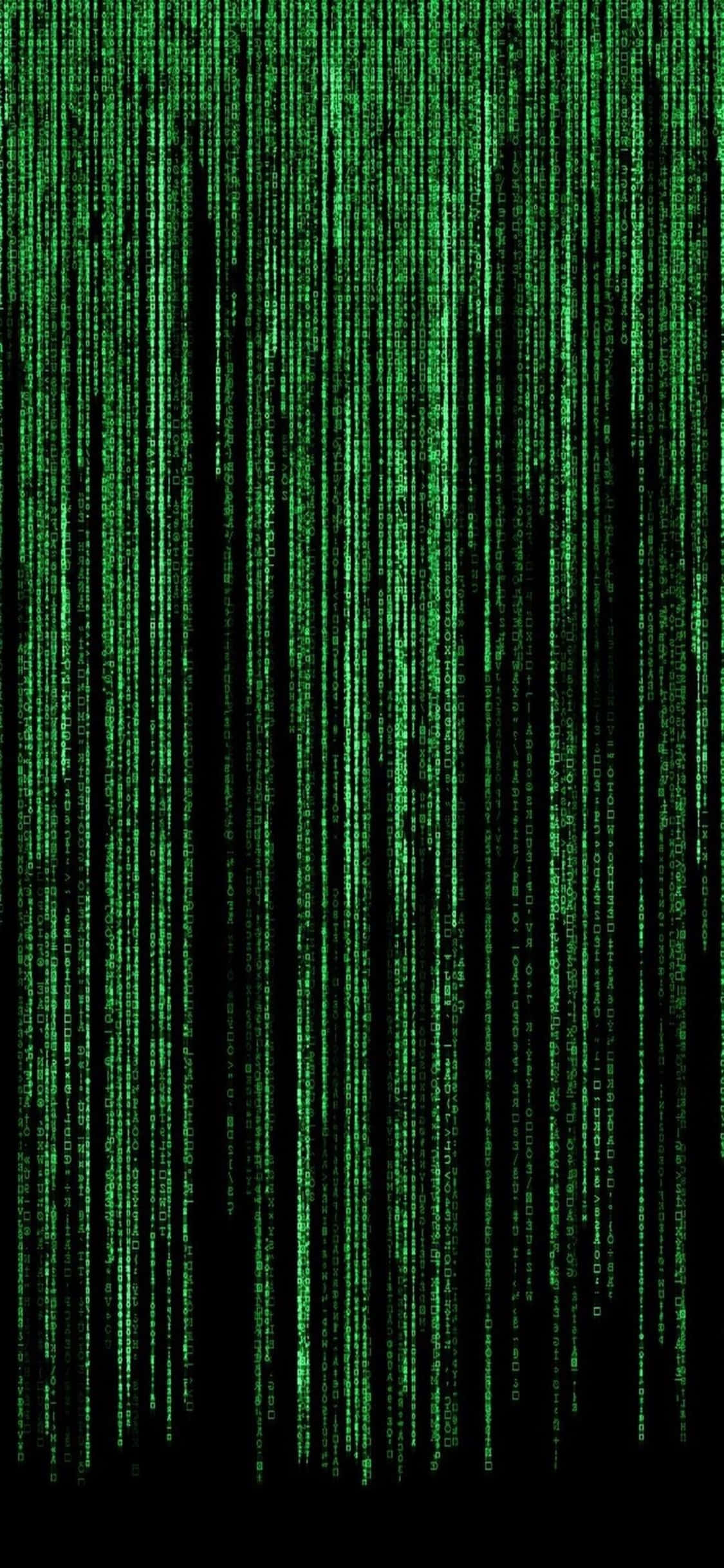 iPhone Xs Programming Background Green Matrix Fundal