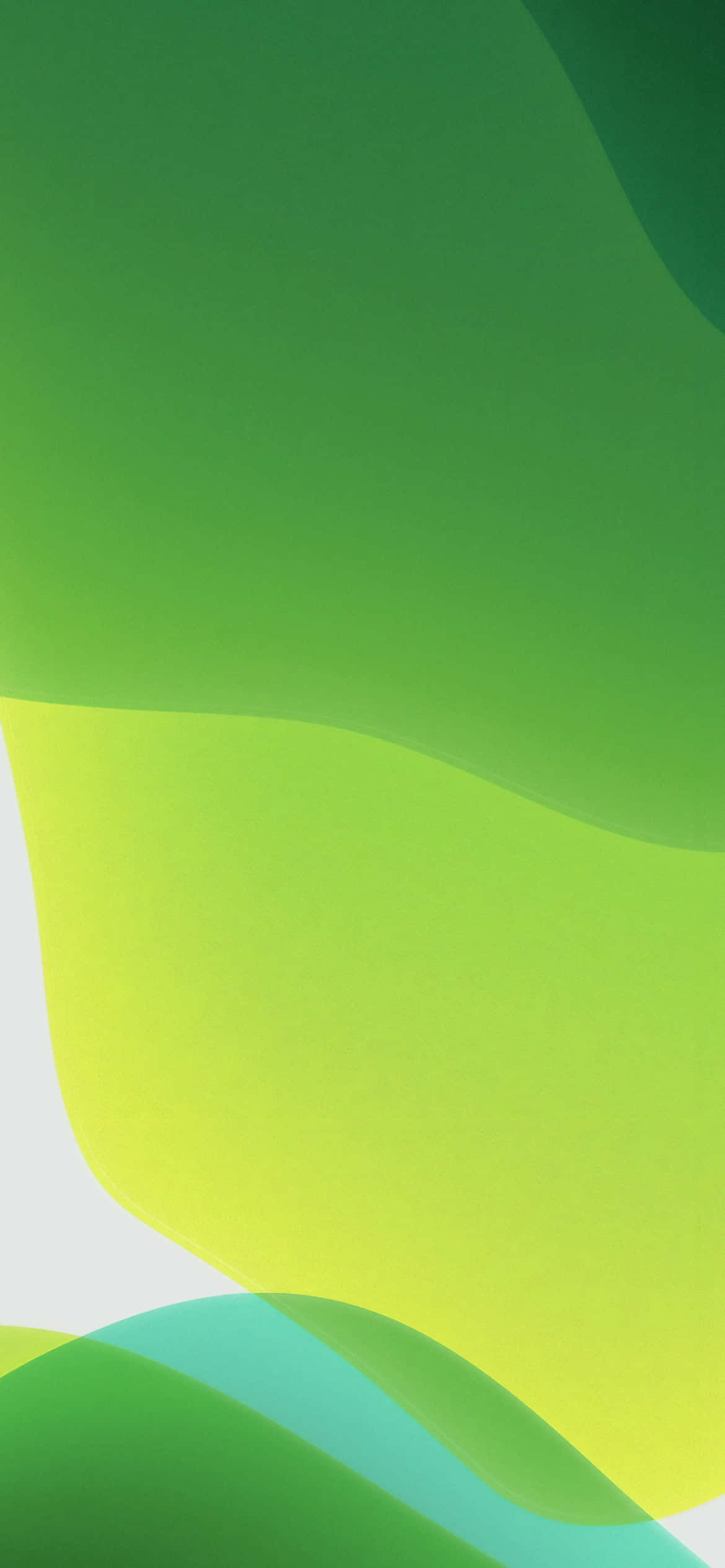 Fond iOS 13 alb cu galben și verde Fundal