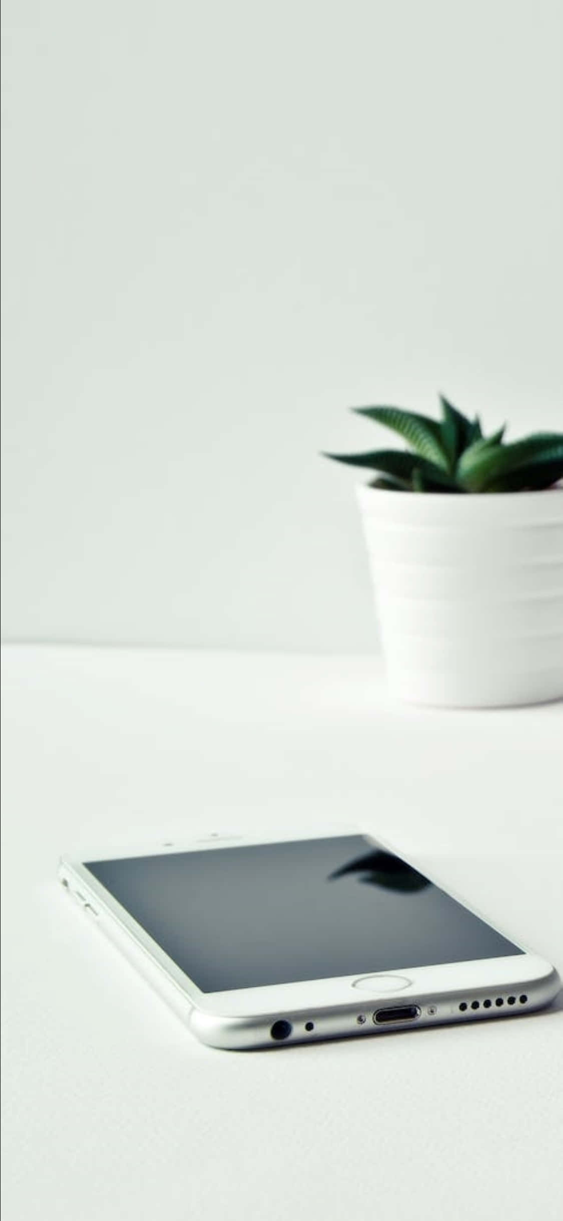 Fond iPhone X Telefon Alb și o Plantă Fundal