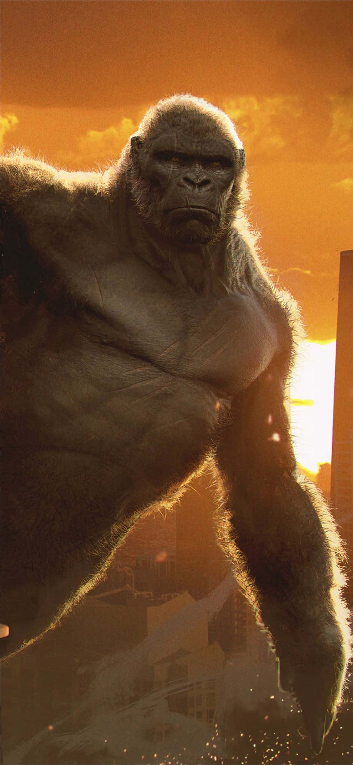 iPhone Xs Max Fundal Gorilla Film King Kong Fundal