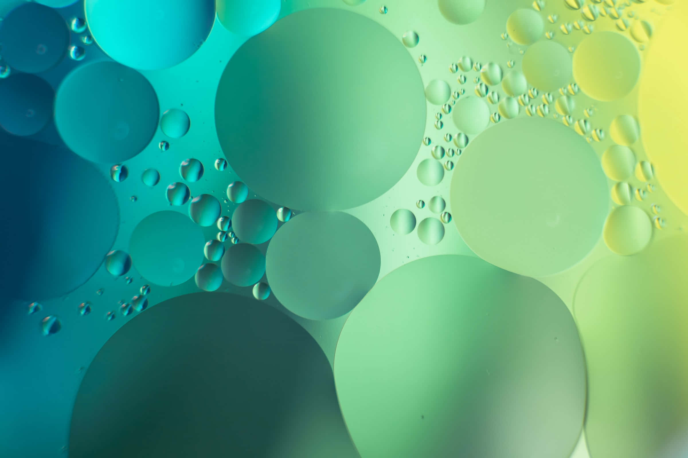 Fond verde estetic cu cercuri gradient abstracte Fundal
