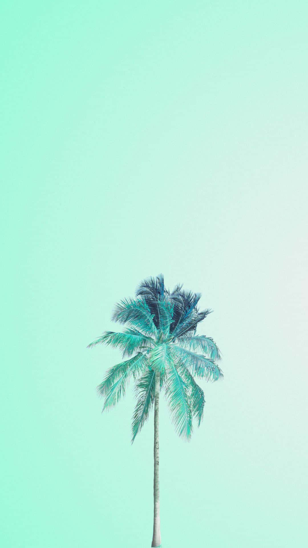 Fond verde pastel cu palmier de cocos Fundal