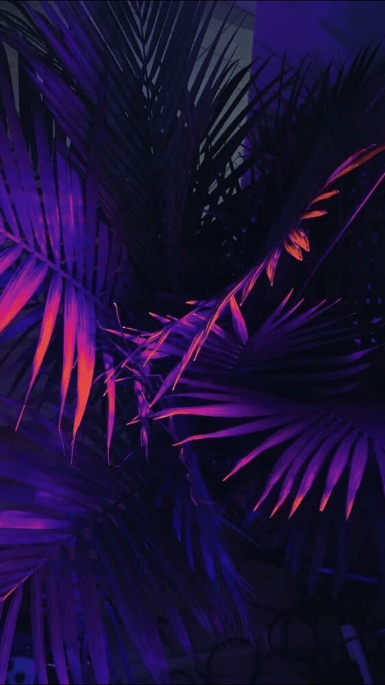Fond violet estetic cu plantă de palmier neon Fundal