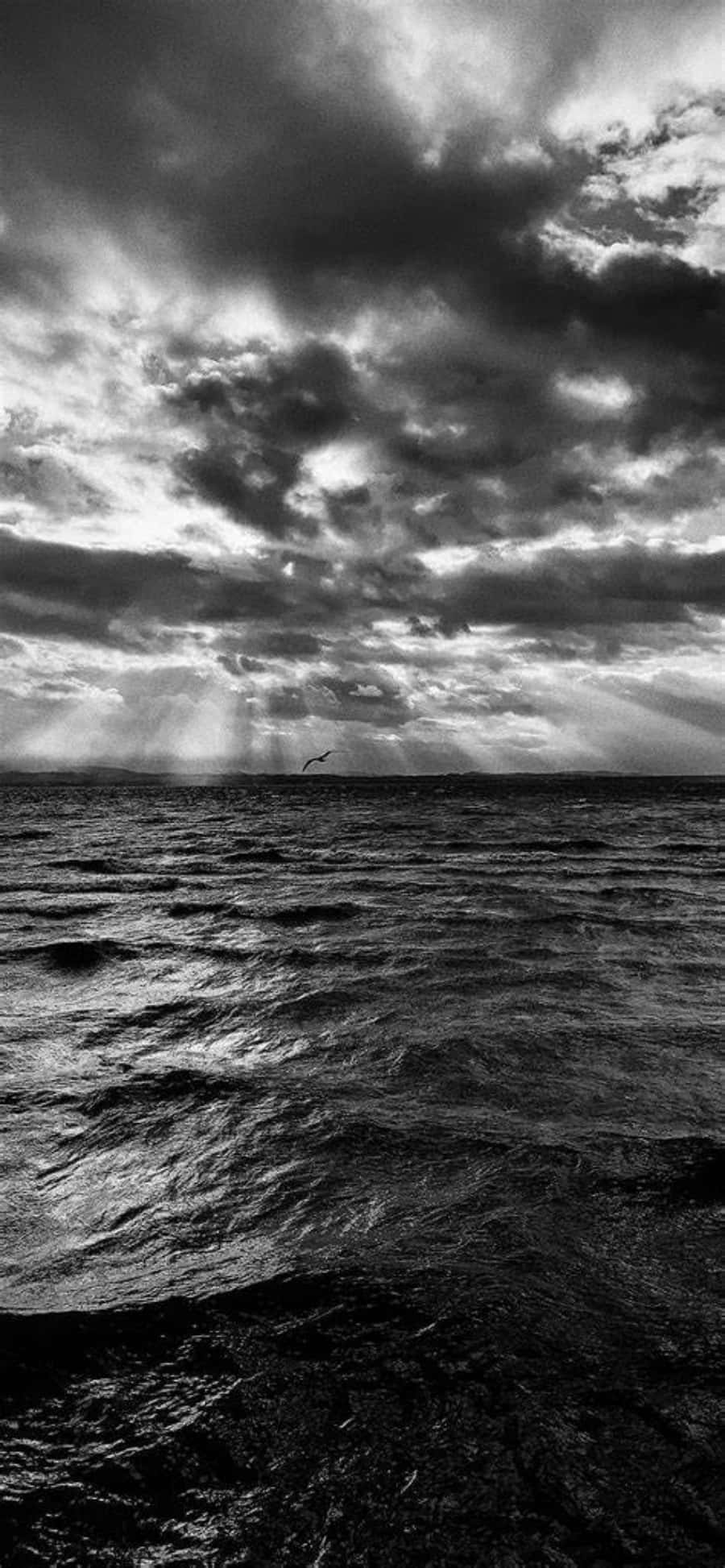 fotografie alb-negru a unui cer înnorat deasupra oceanului Fundal