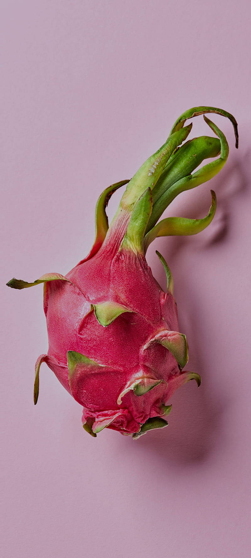 Fotografie de fruct dragonfruit fundal pastel roz Fundal