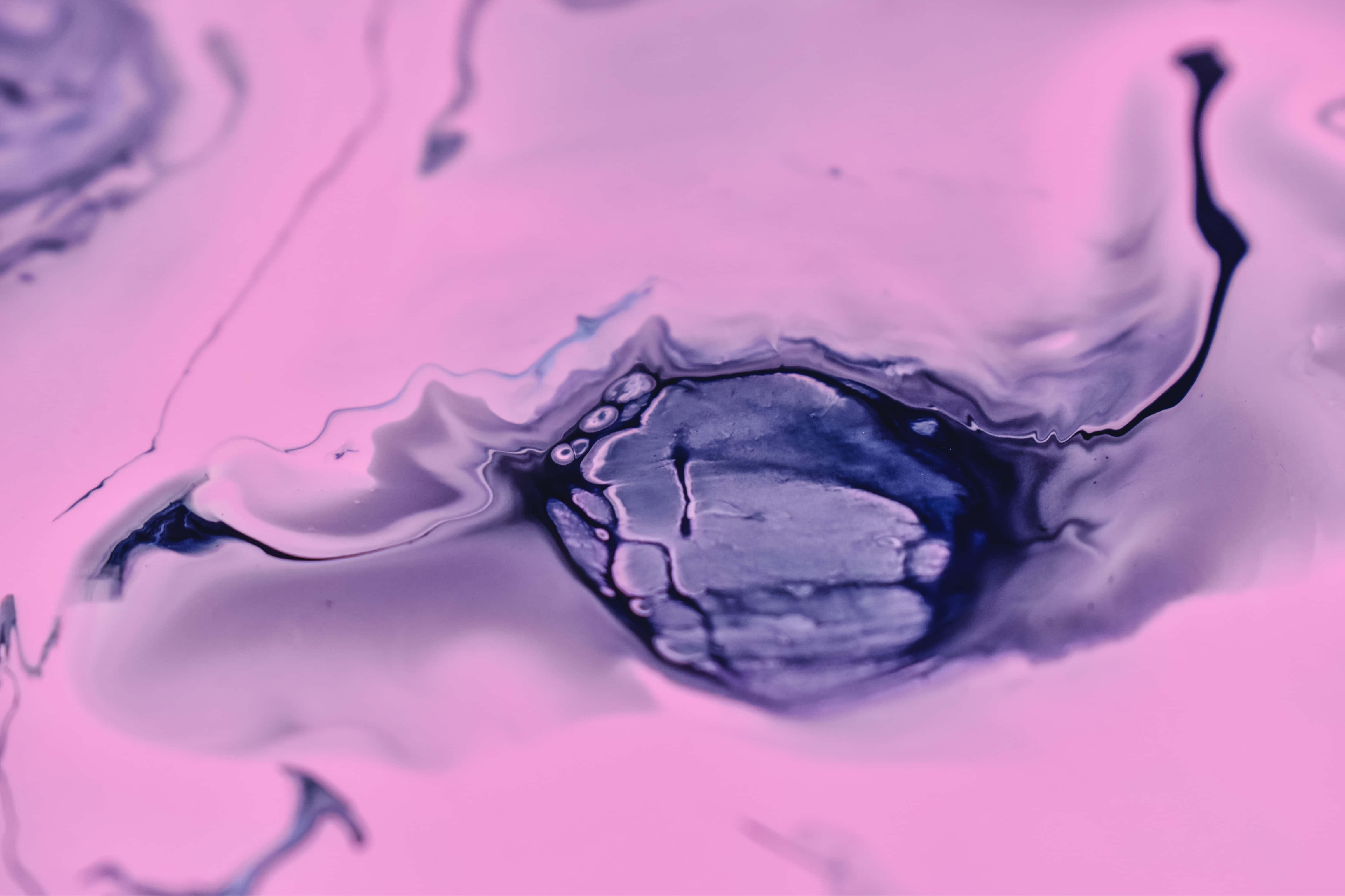 Fotografii estetice violet închis Fundal